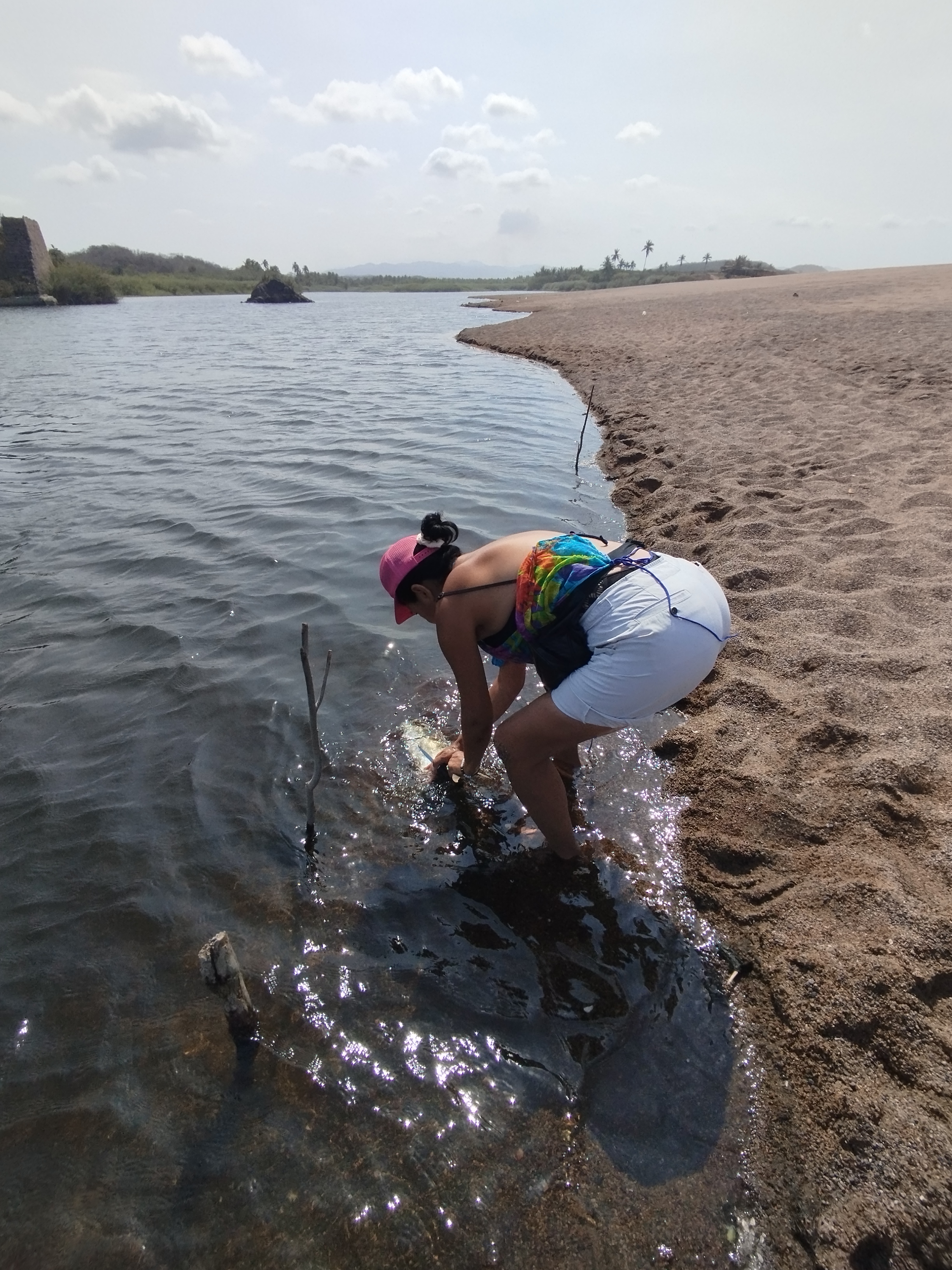Restaurante La Mosca image 6