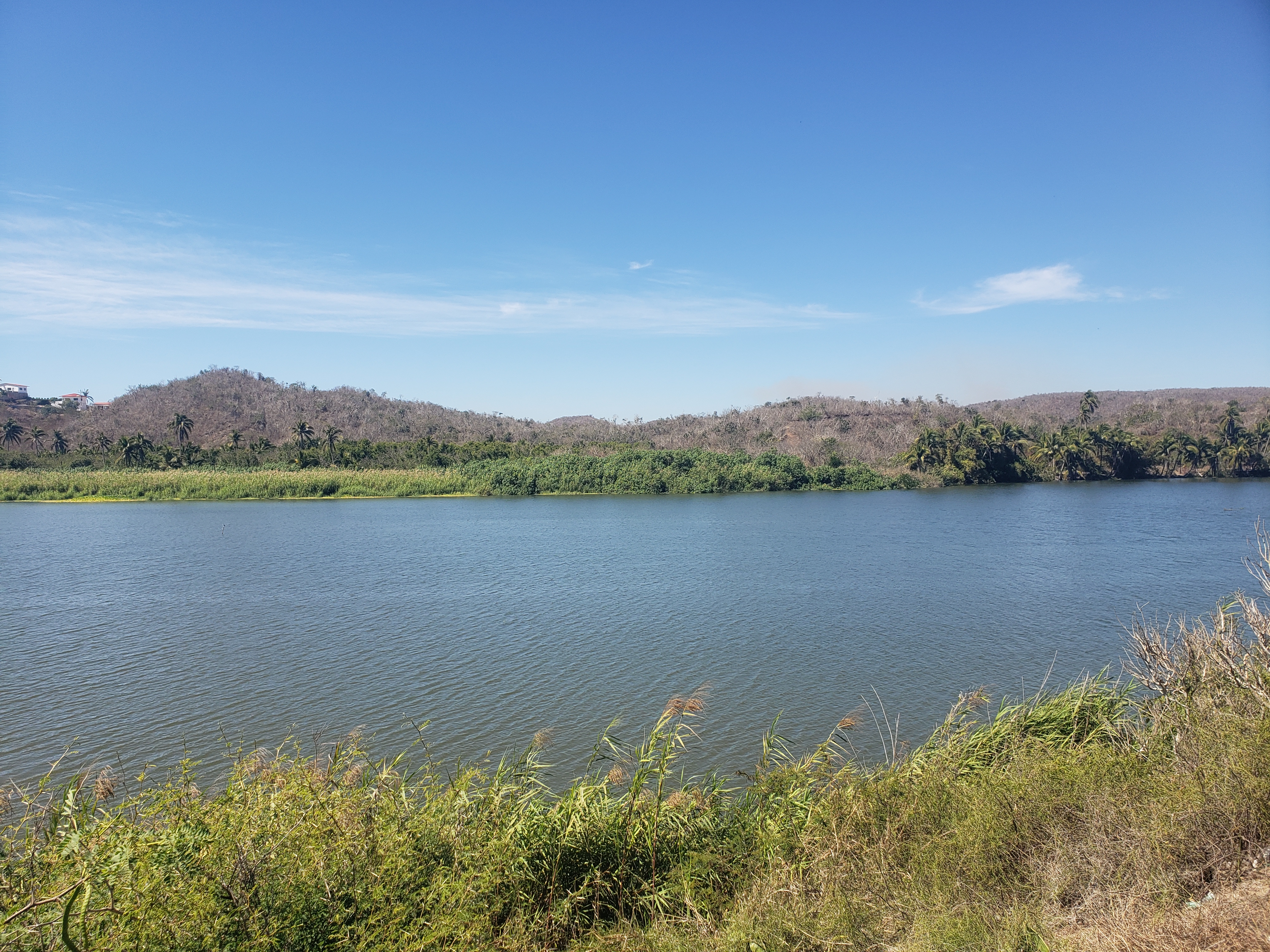 Restaurante La Mosca image 8