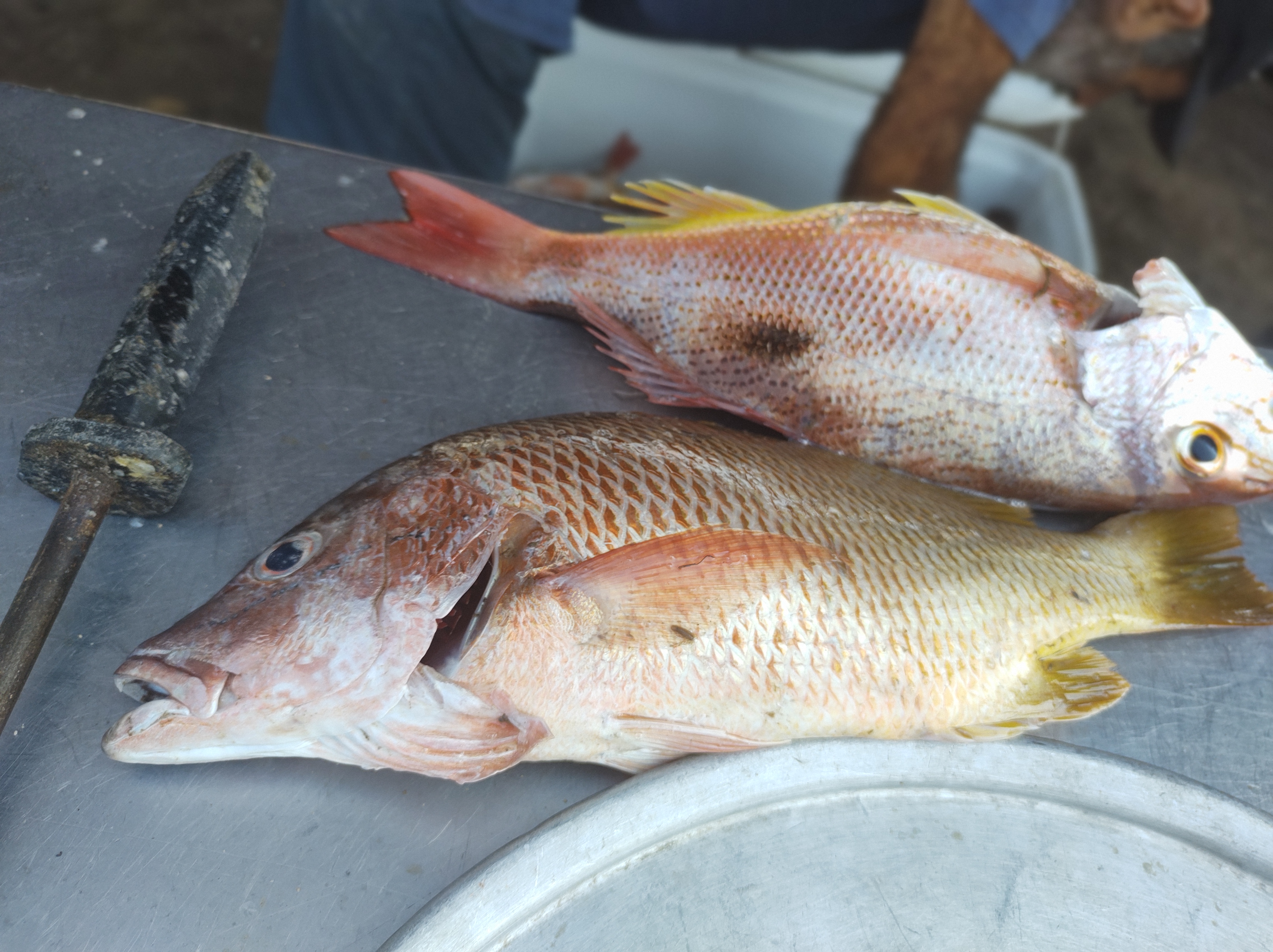 Restaurant Chito's image 5