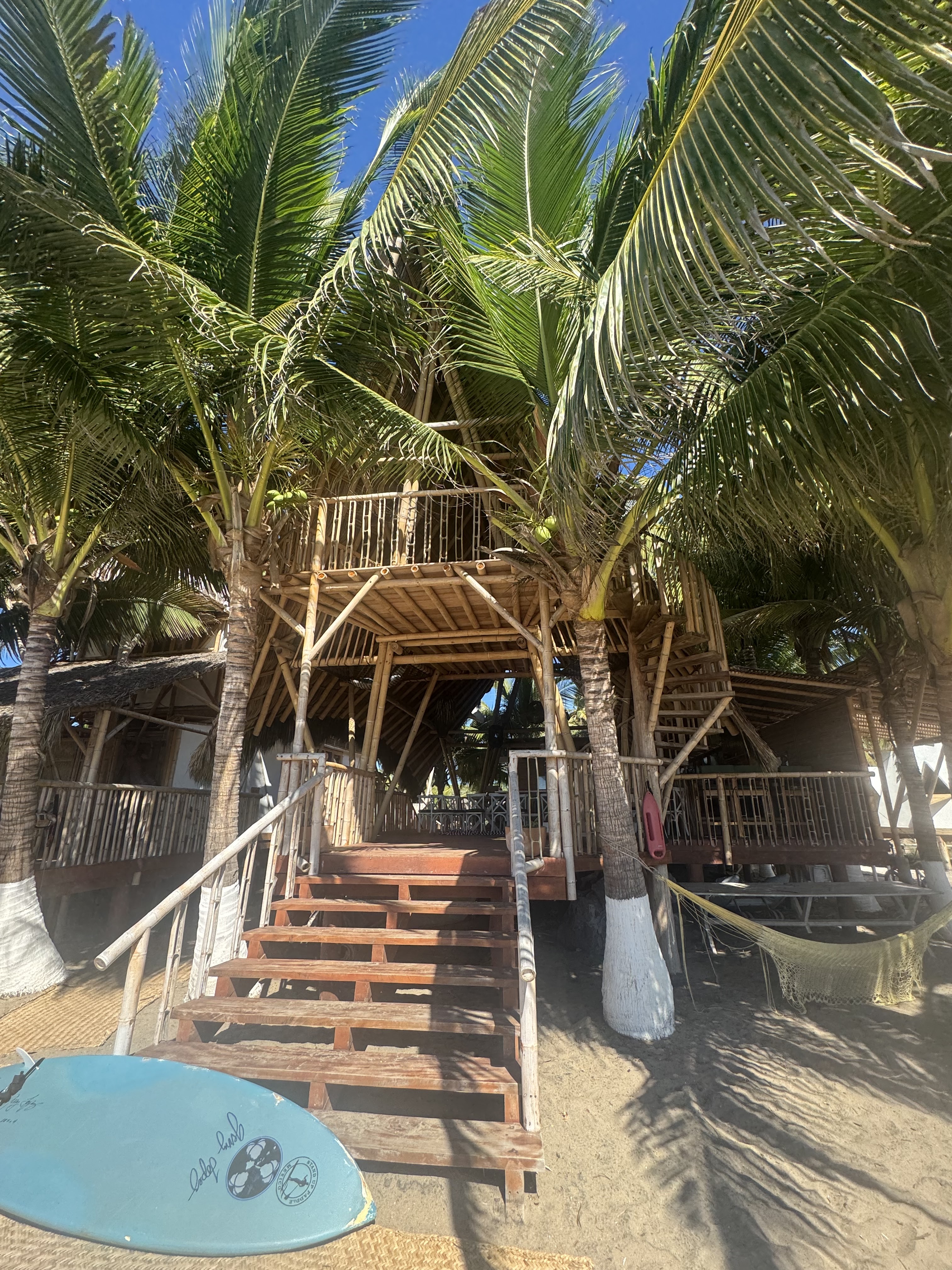 Rojo Restaurant image 4