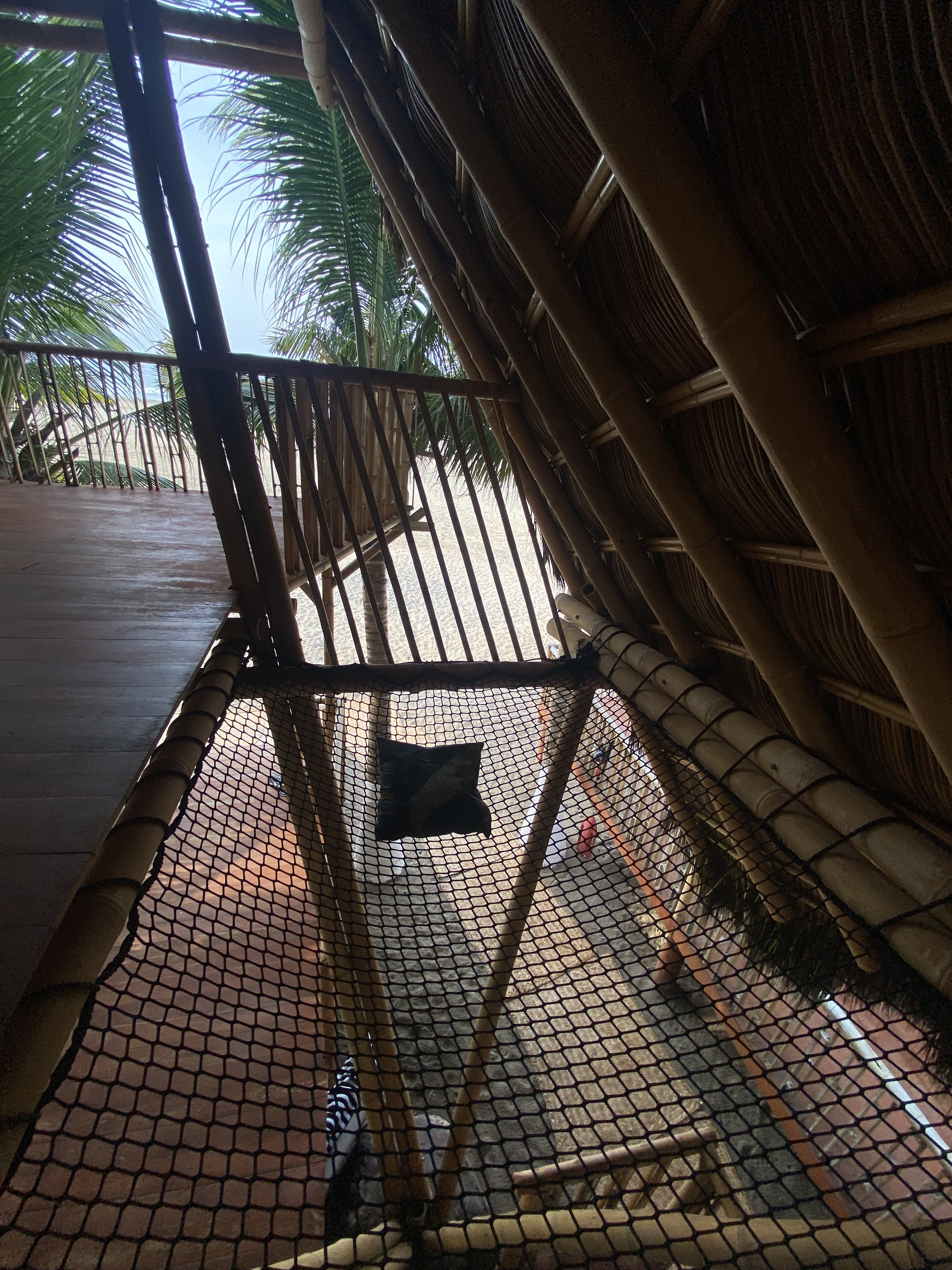 Rojo Restaurant image 5