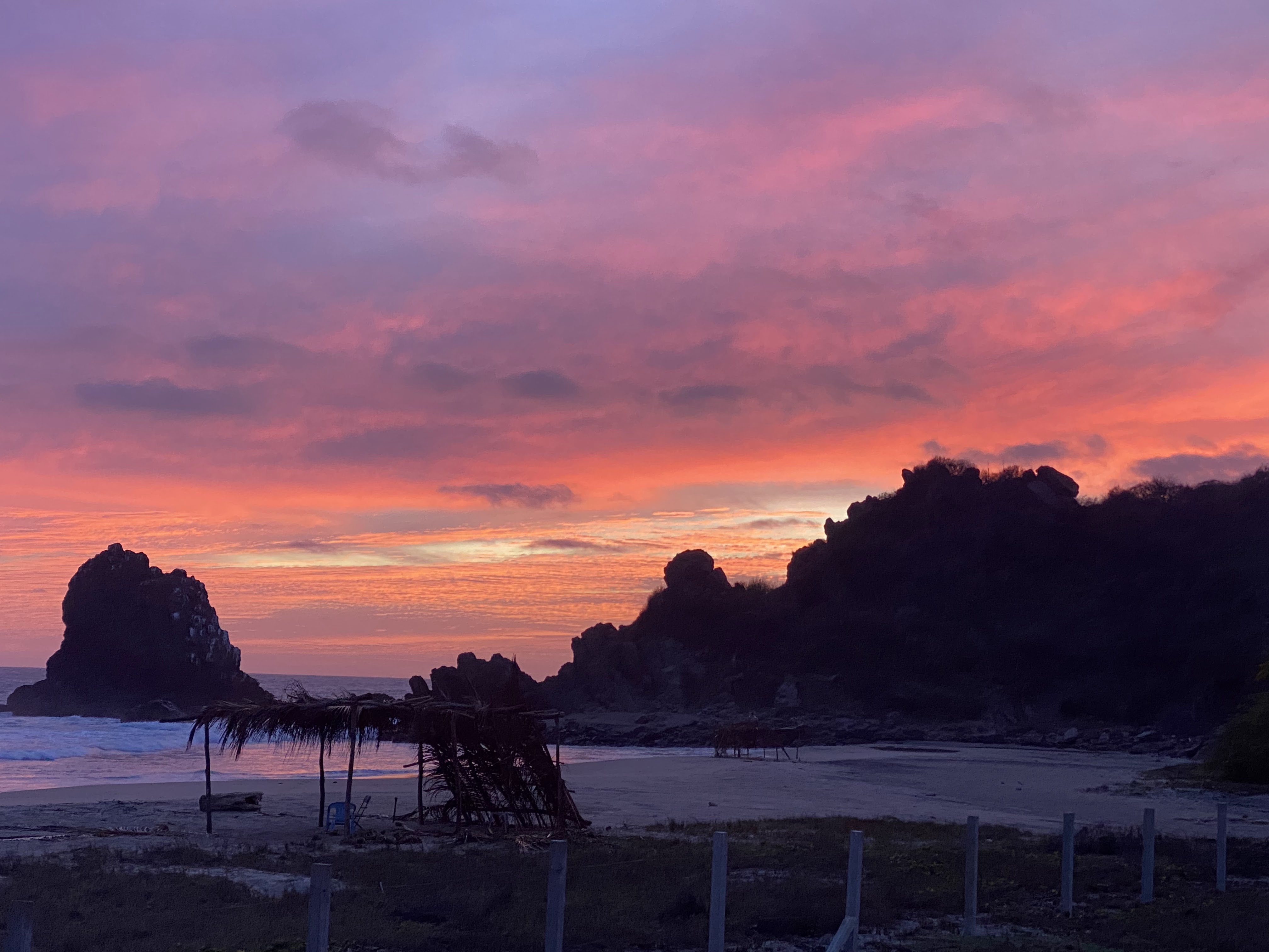 Rojo Restaurant image 8