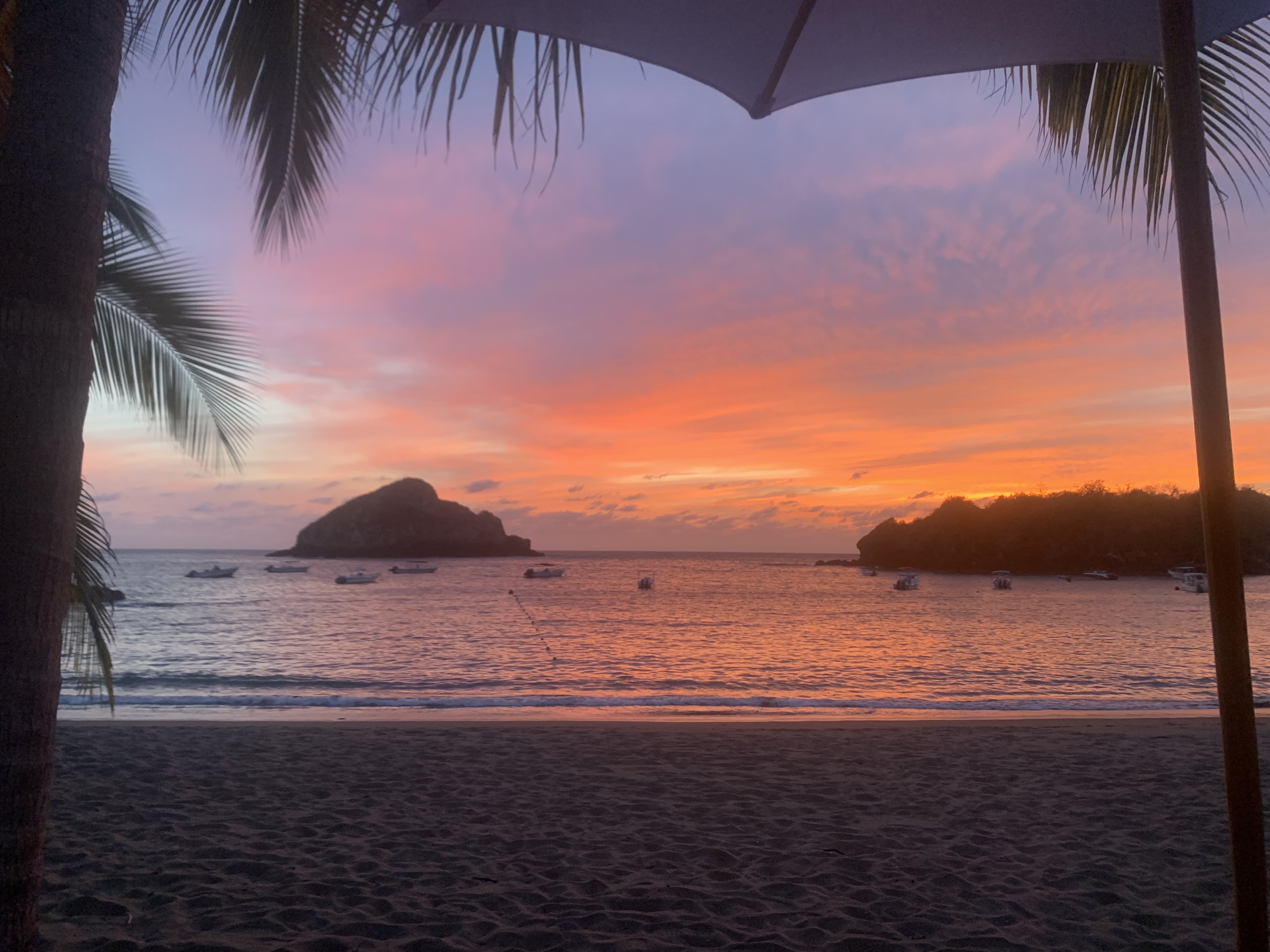 Rojo Restaurant image 9