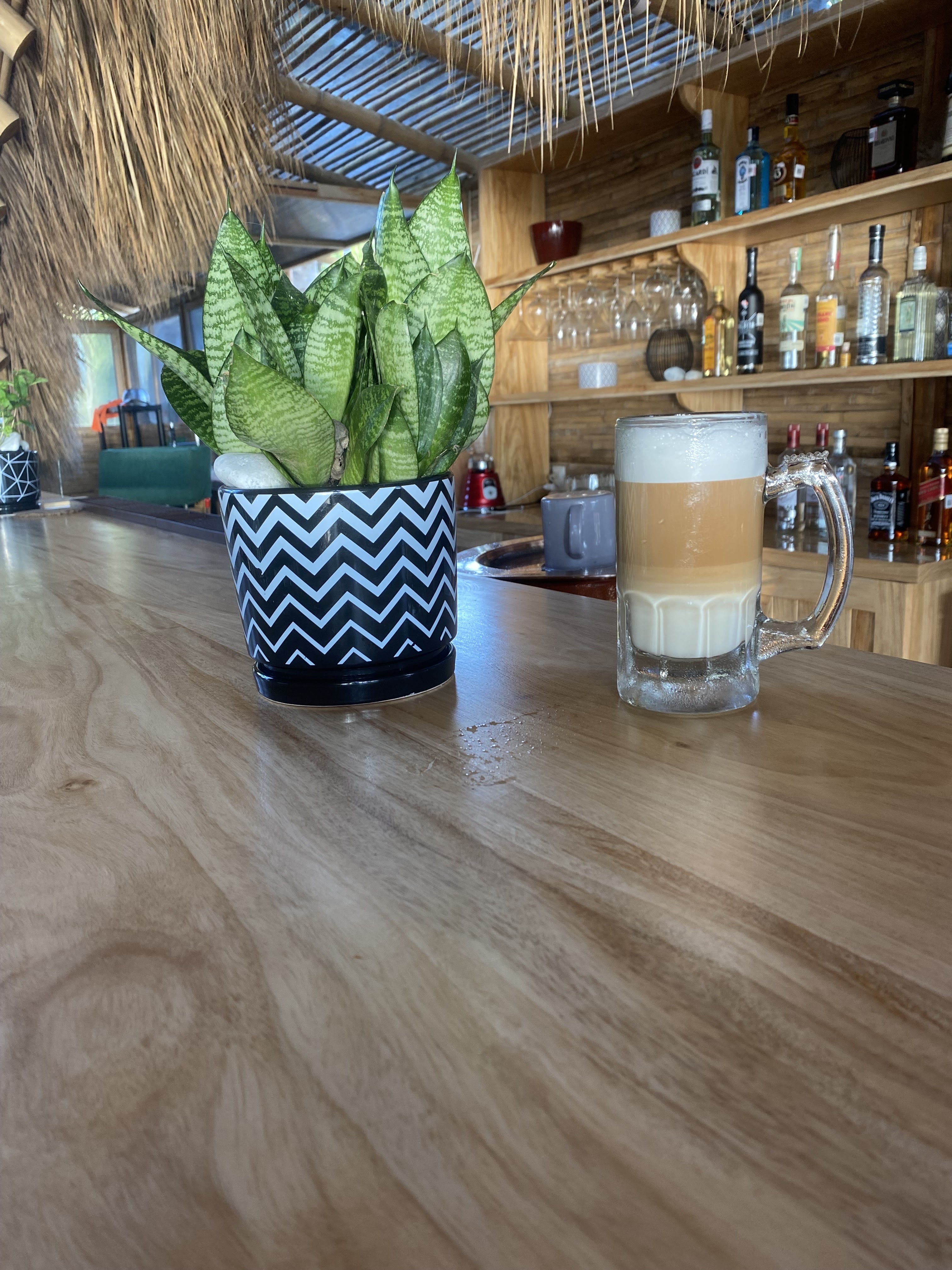 Rojo Restaurant image 10