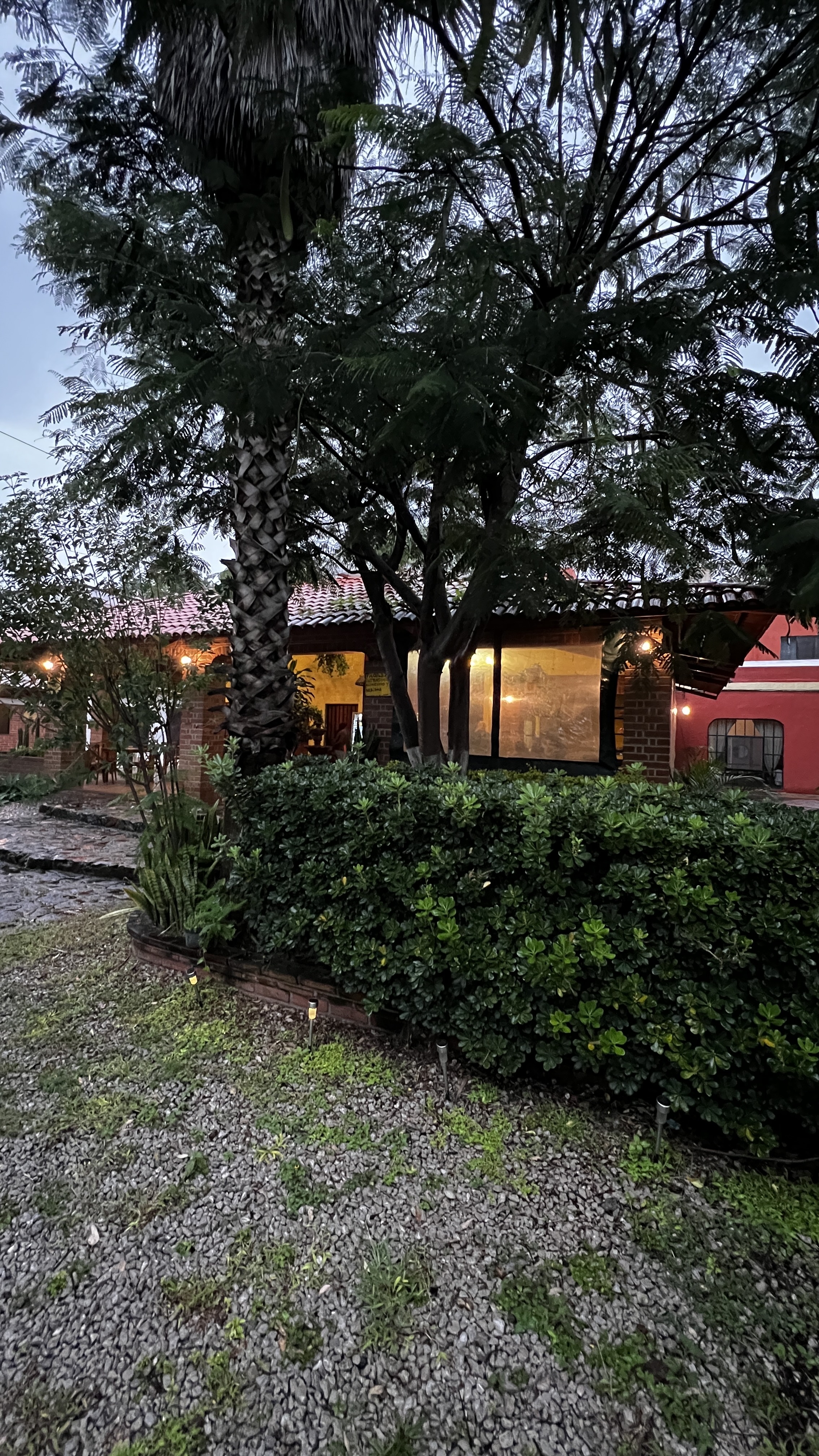 HOTEL-RESTAURANTE LA RENACUAJA image 4