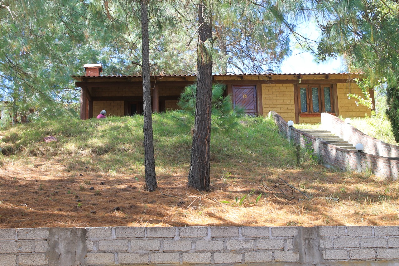 De la Sierra Restaurante image 3