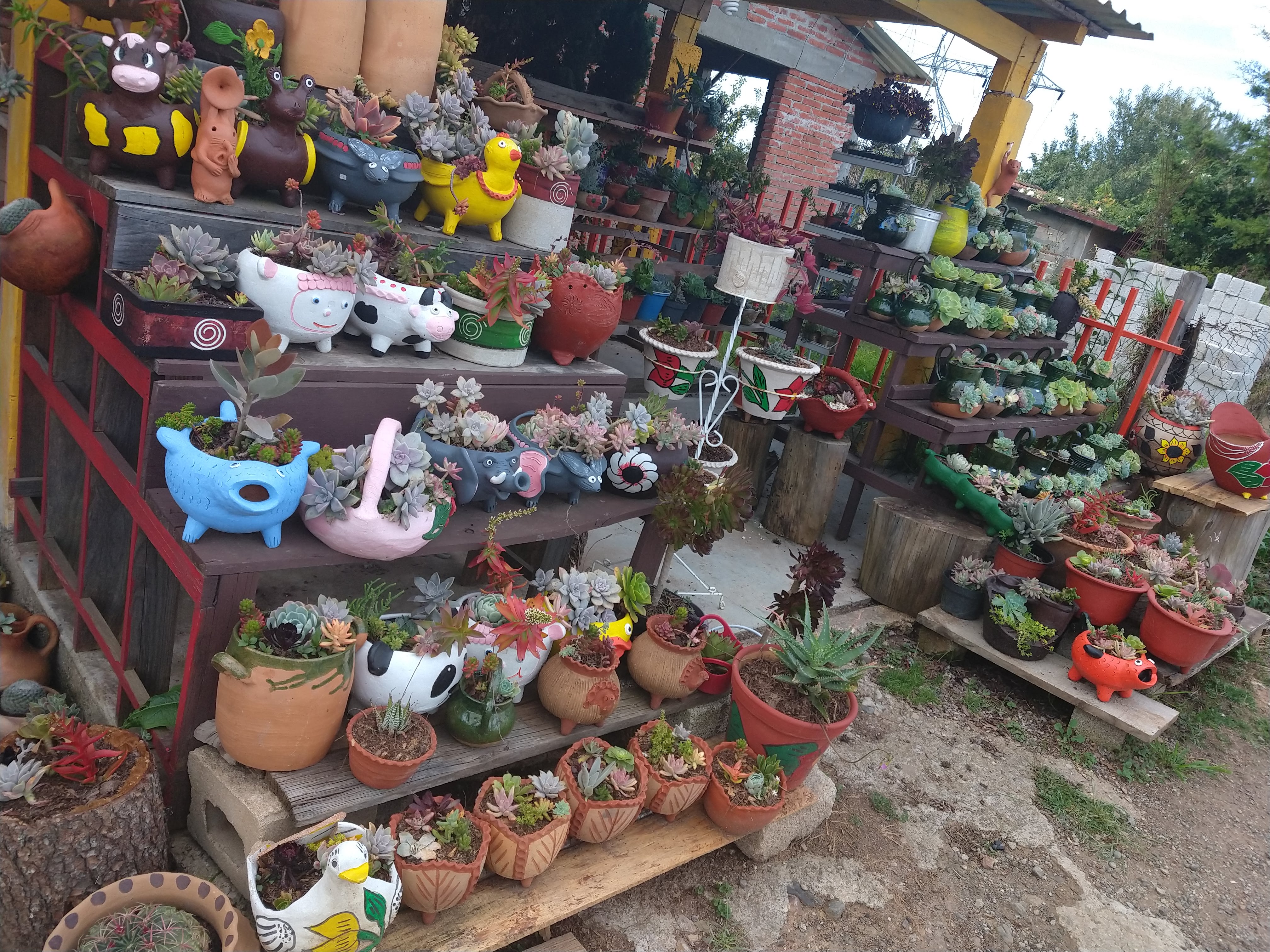 De la Sierra Restaurante image 7