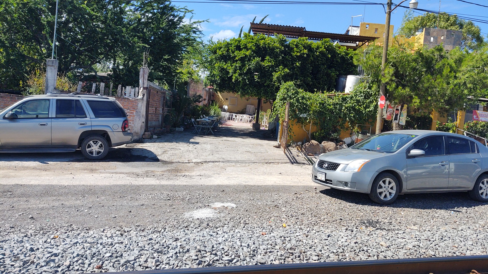 Patitas doradas San Juan en San Juan de el fuerte michoacan image 3