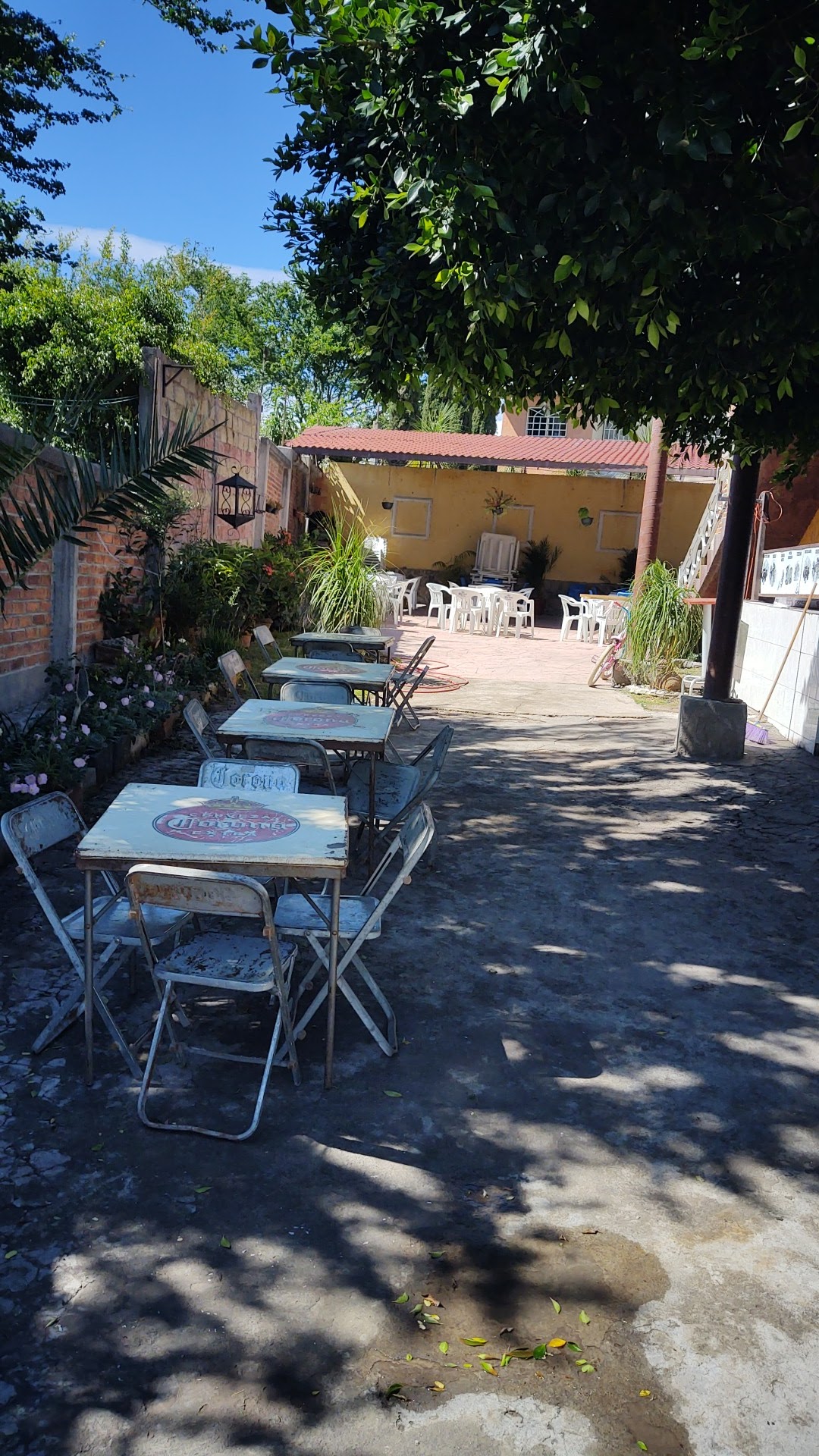 Patitas doradas San Juan en San Juan de el fuerte michoacan image 4