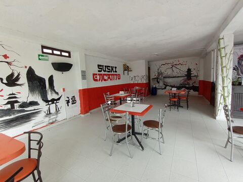 Sushi encanto image 1