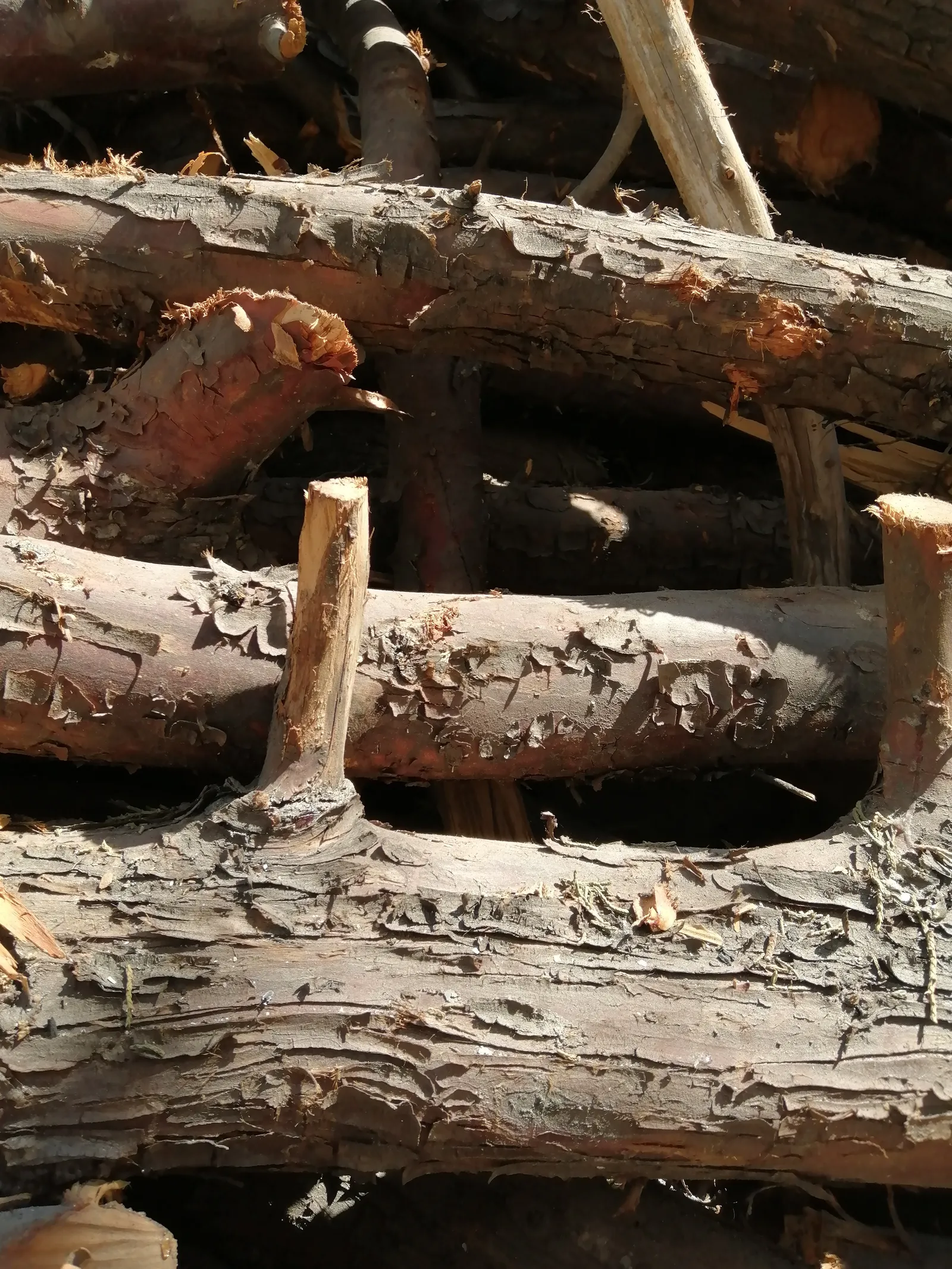La Lumbrada image 2