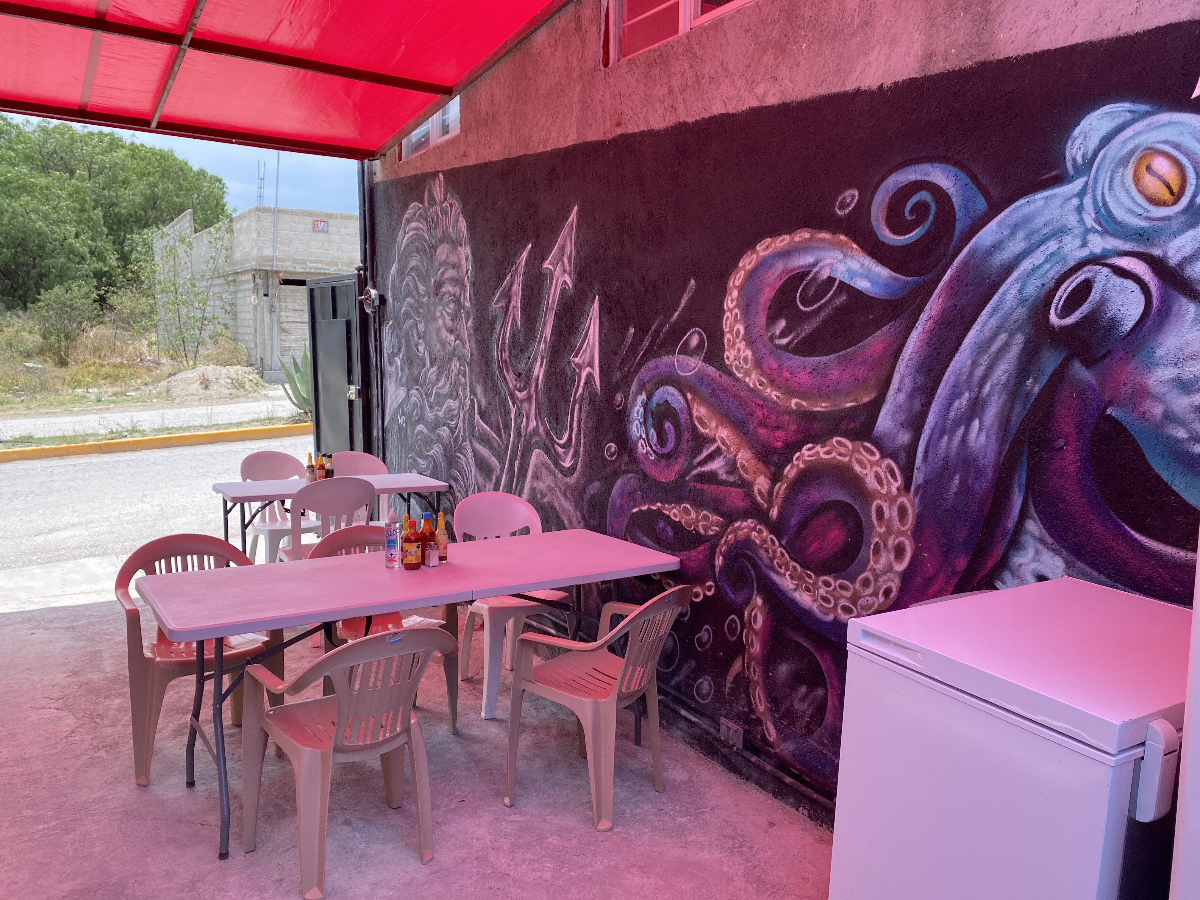 Pescados y Mariscos El Güero image 10