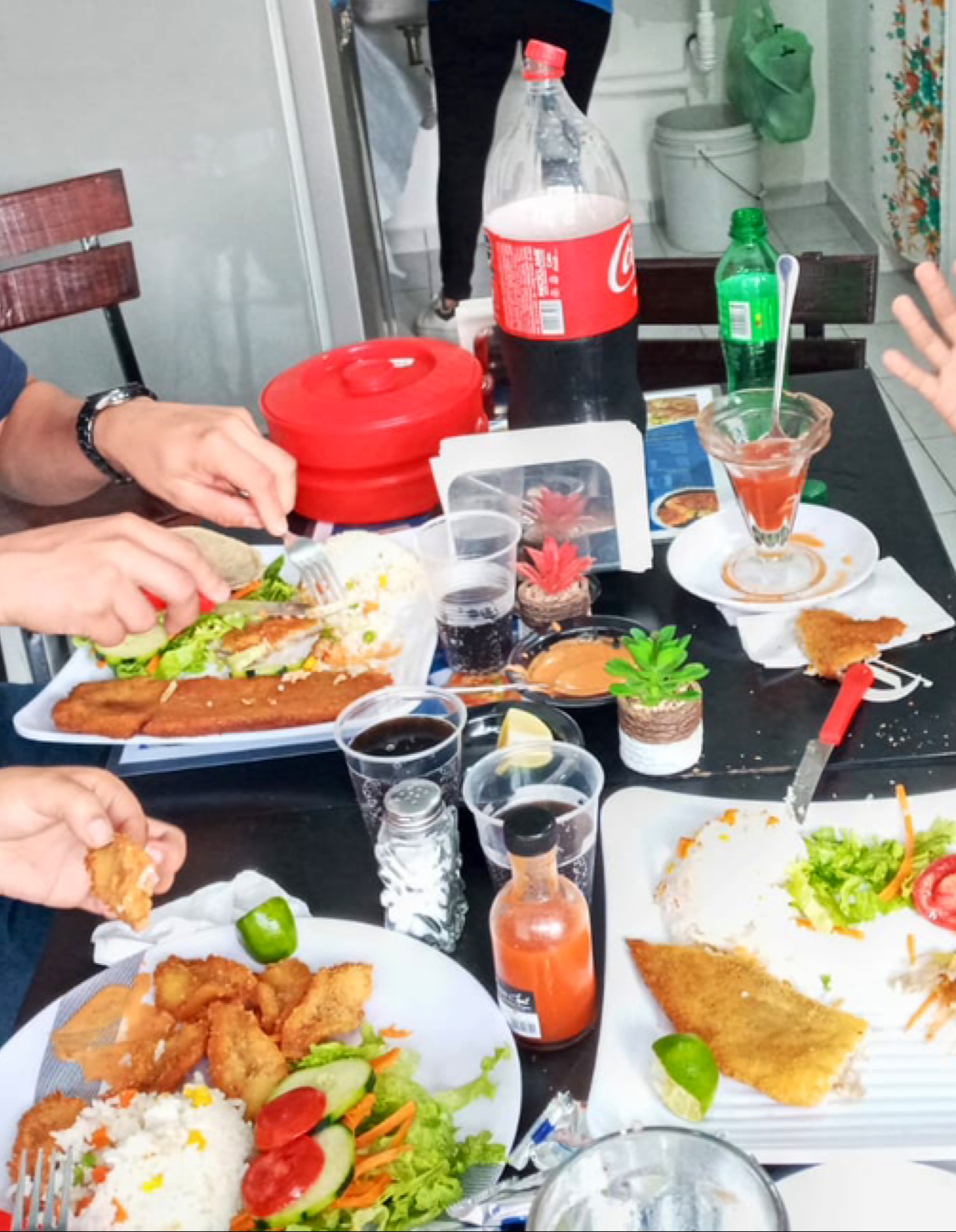 Restaurante de mariscos La Laguna de Alvarado image 3
