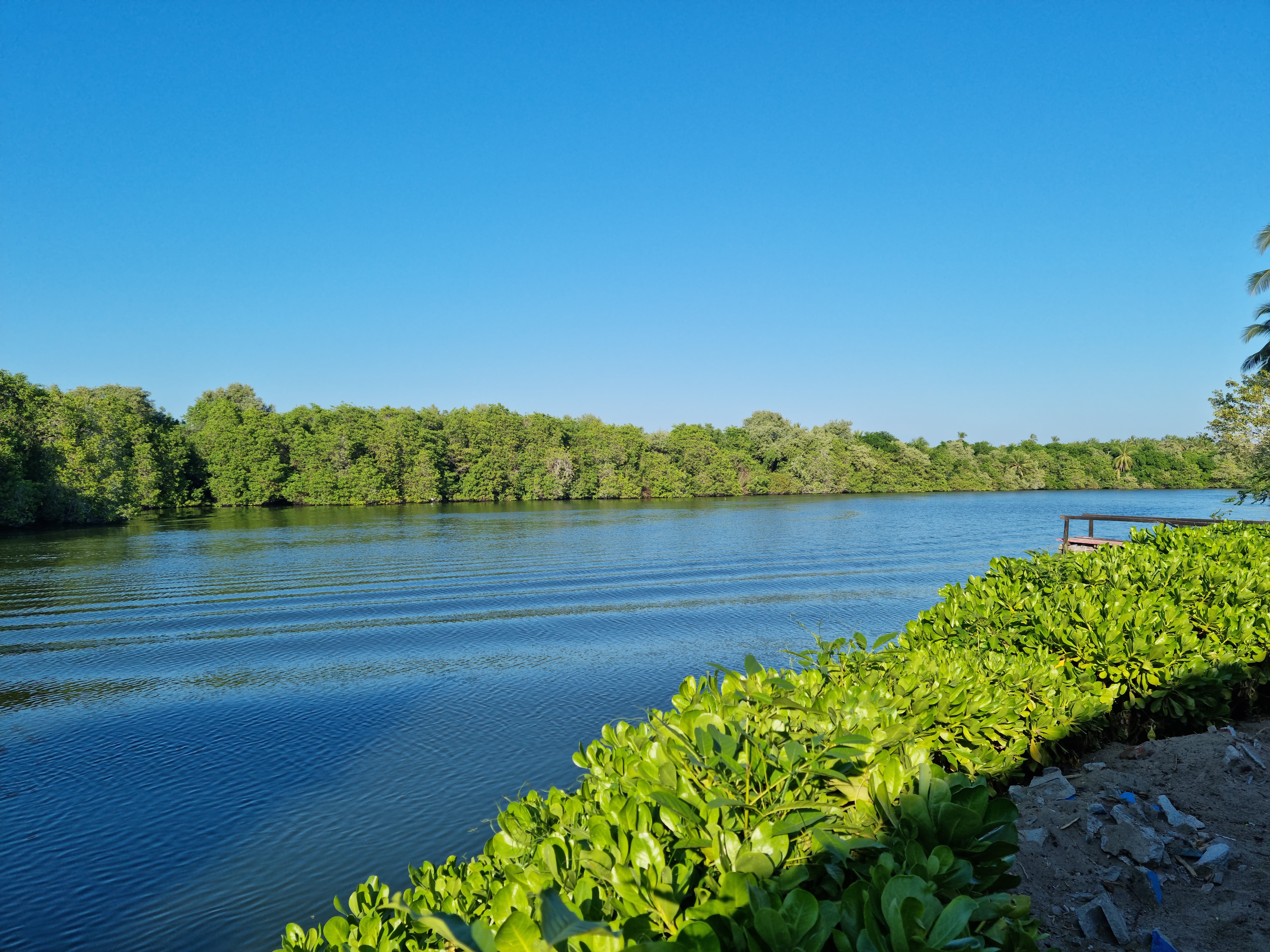 Mocambo en La Isla Del Chaneque image 3