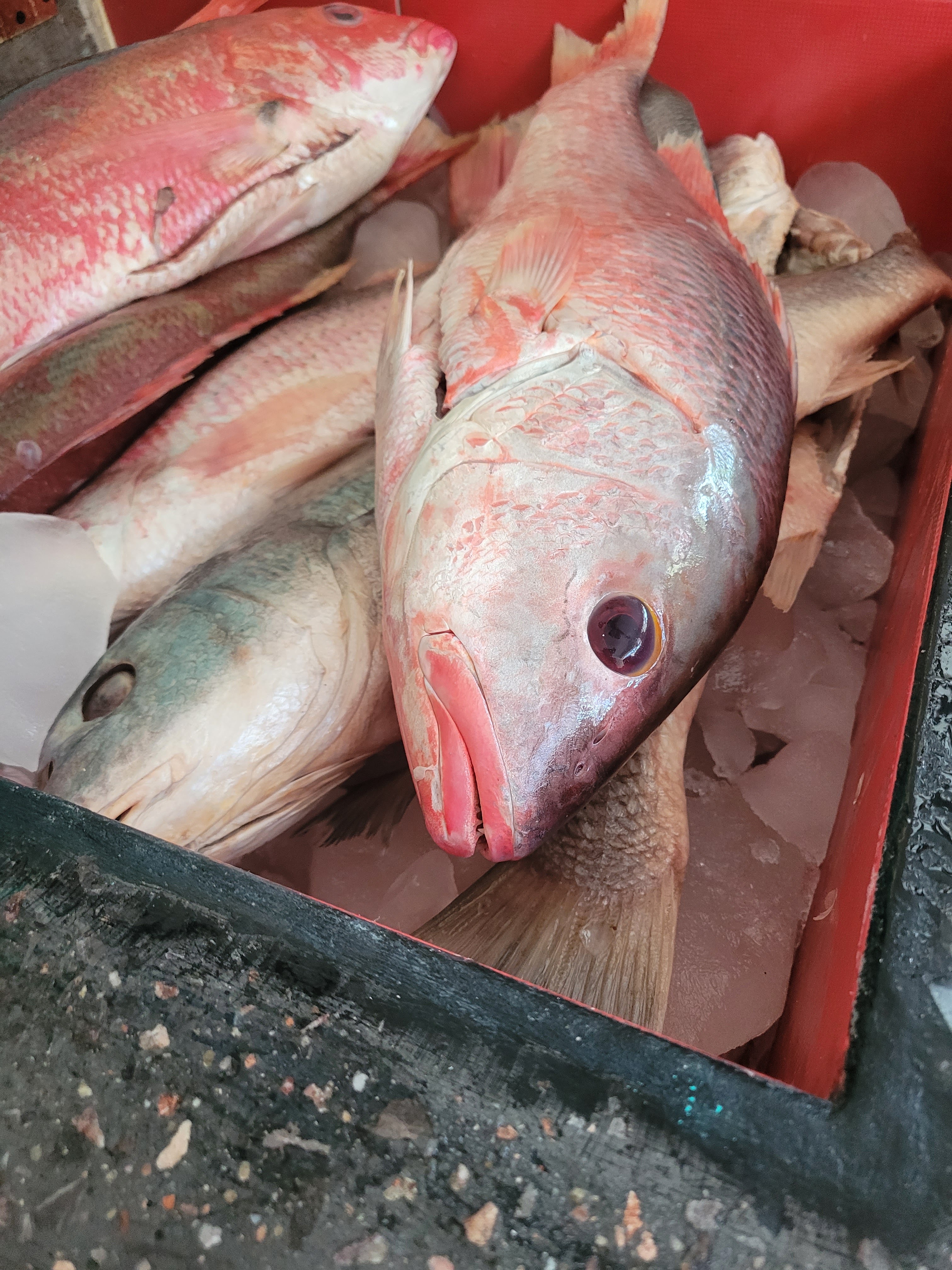 Cira La Morena 1 image 9