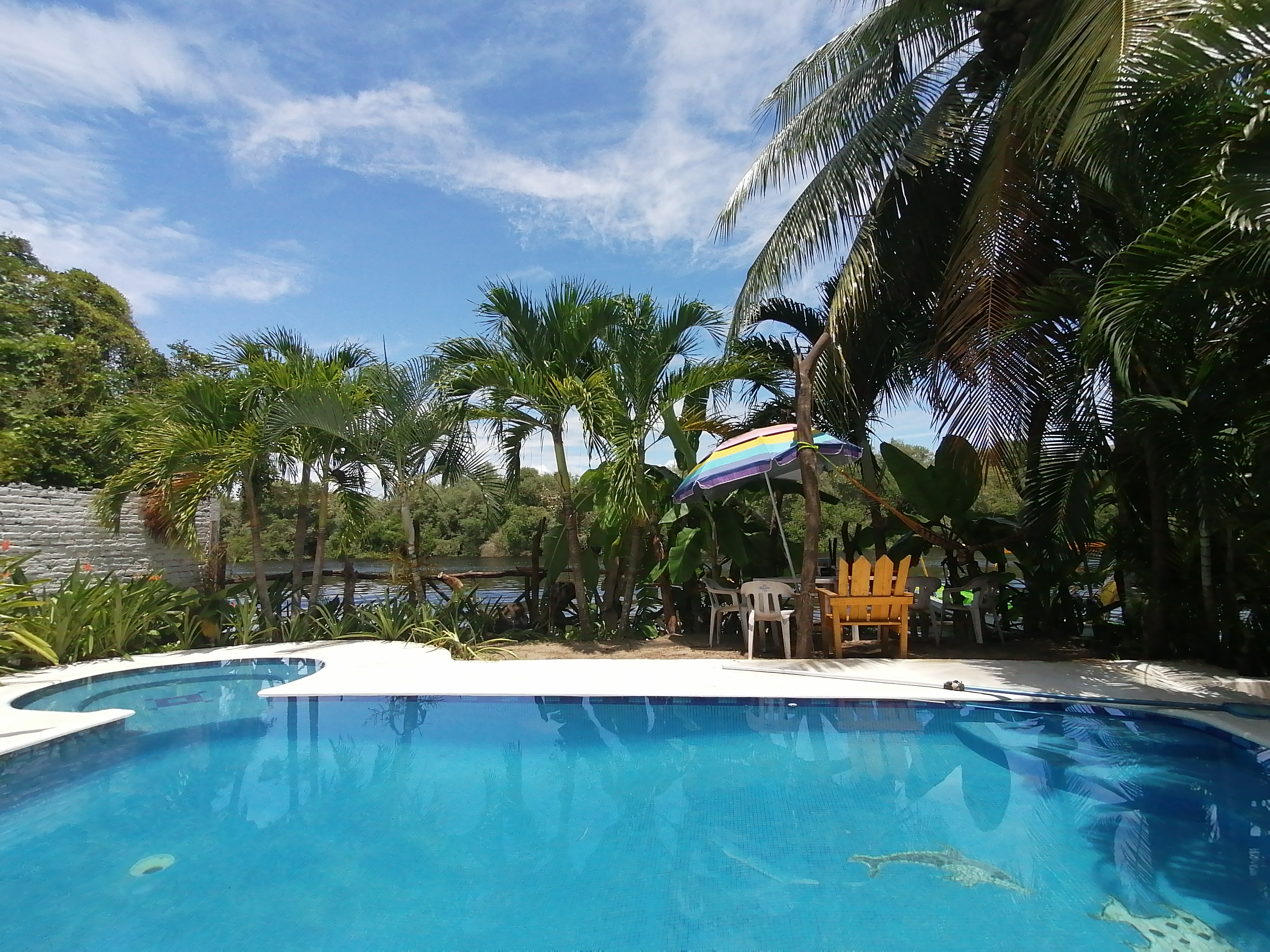 Rest.La Jungla image 3