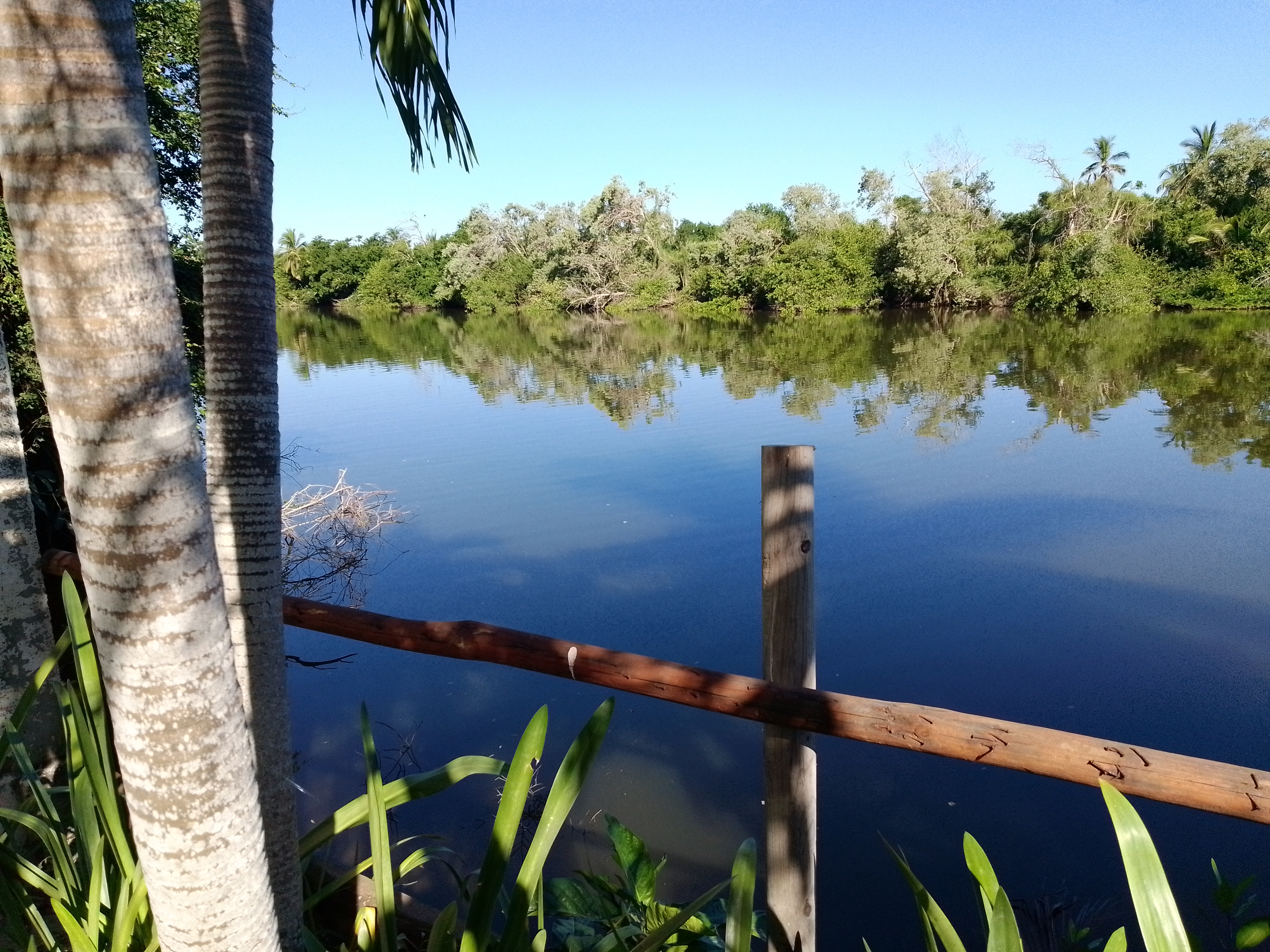 Rest.La Jungla image 4