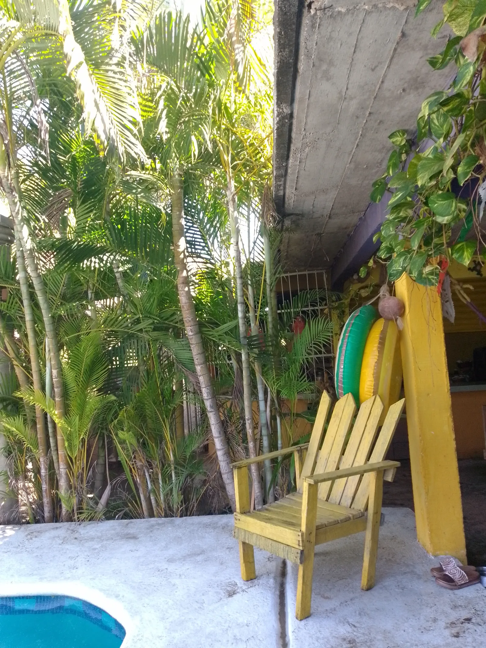 Rest.La Jungla image 9