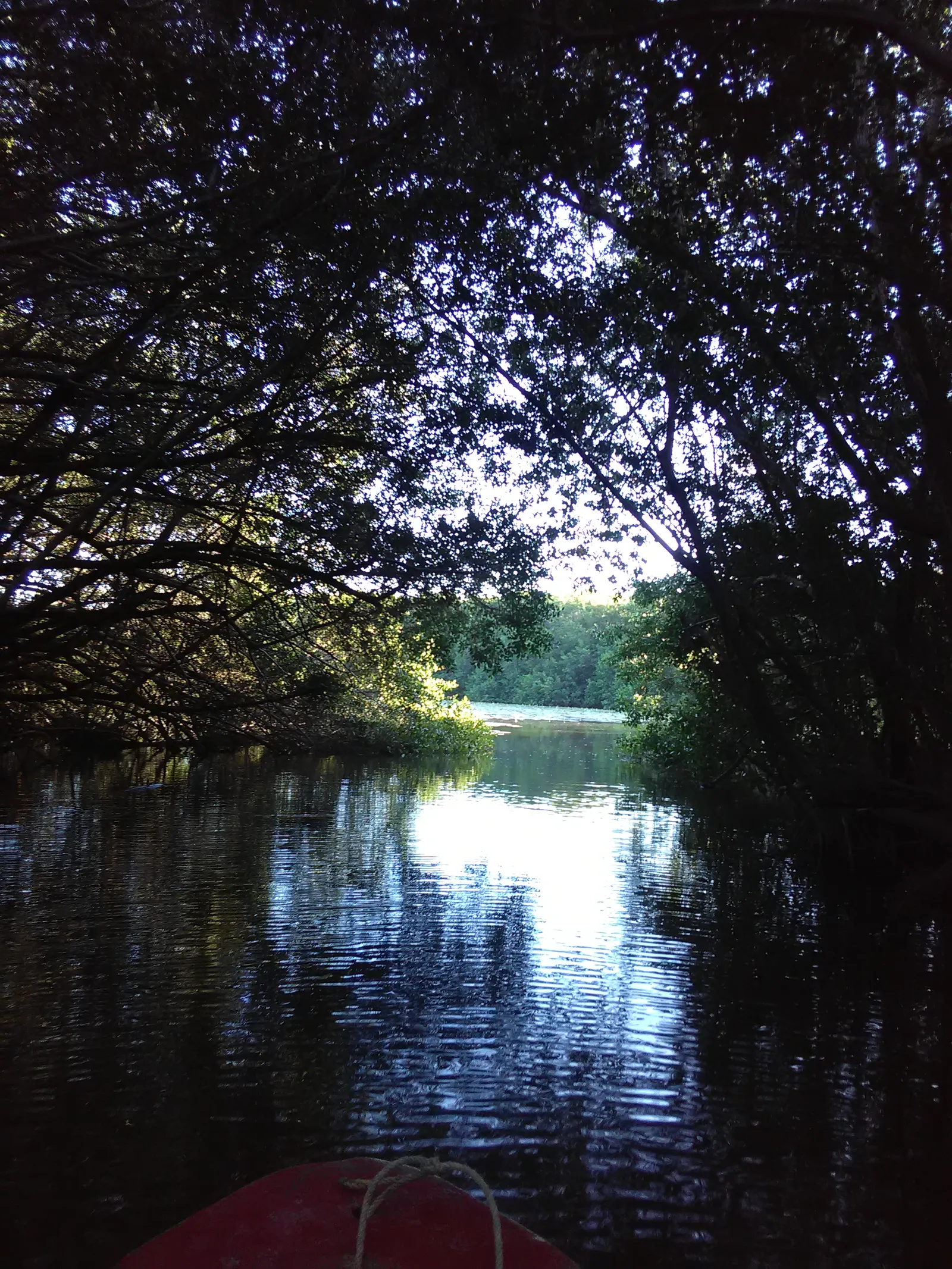 Rest.La Jungla image 10
