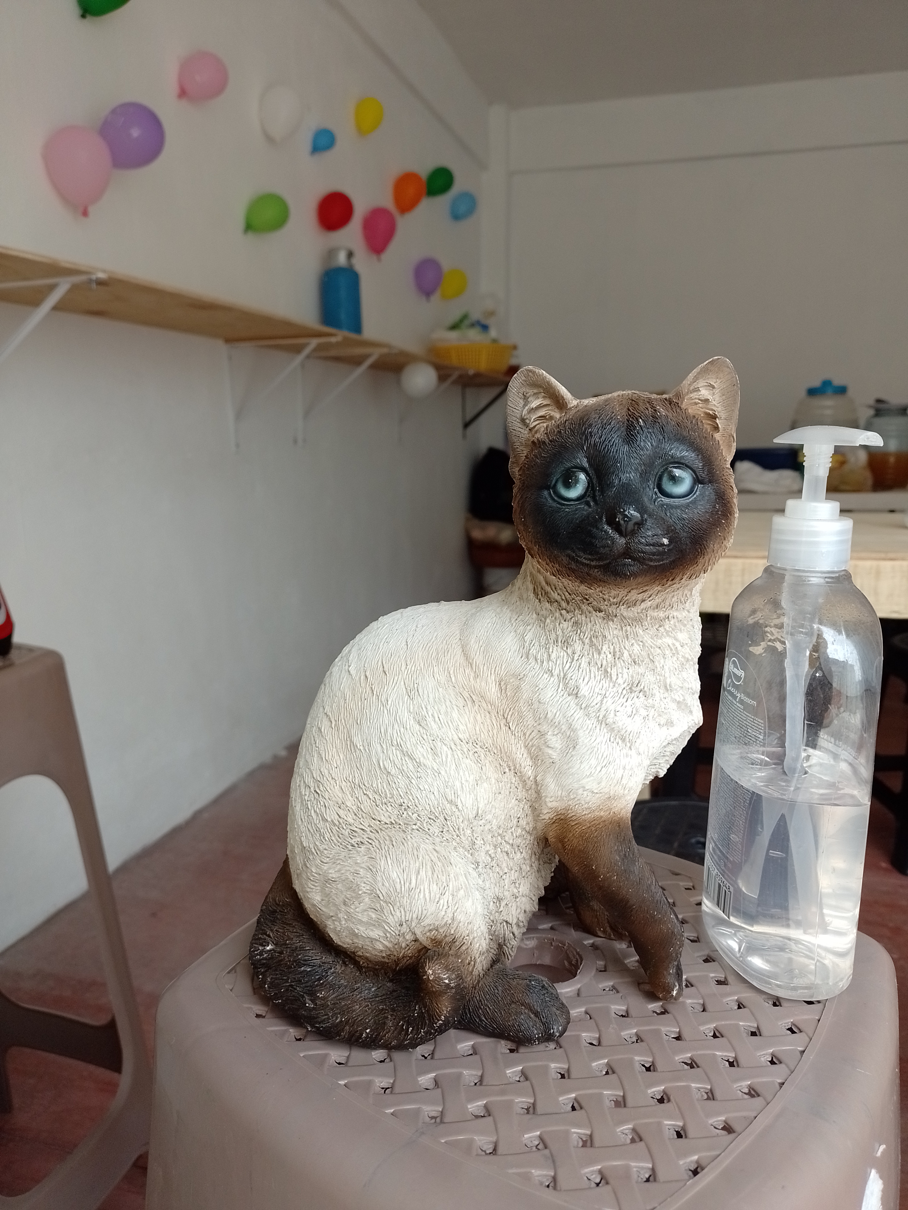 La cocina del Gato Prieto image 2