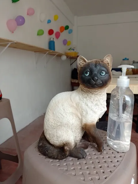La cocina del Gato Prieto image 2