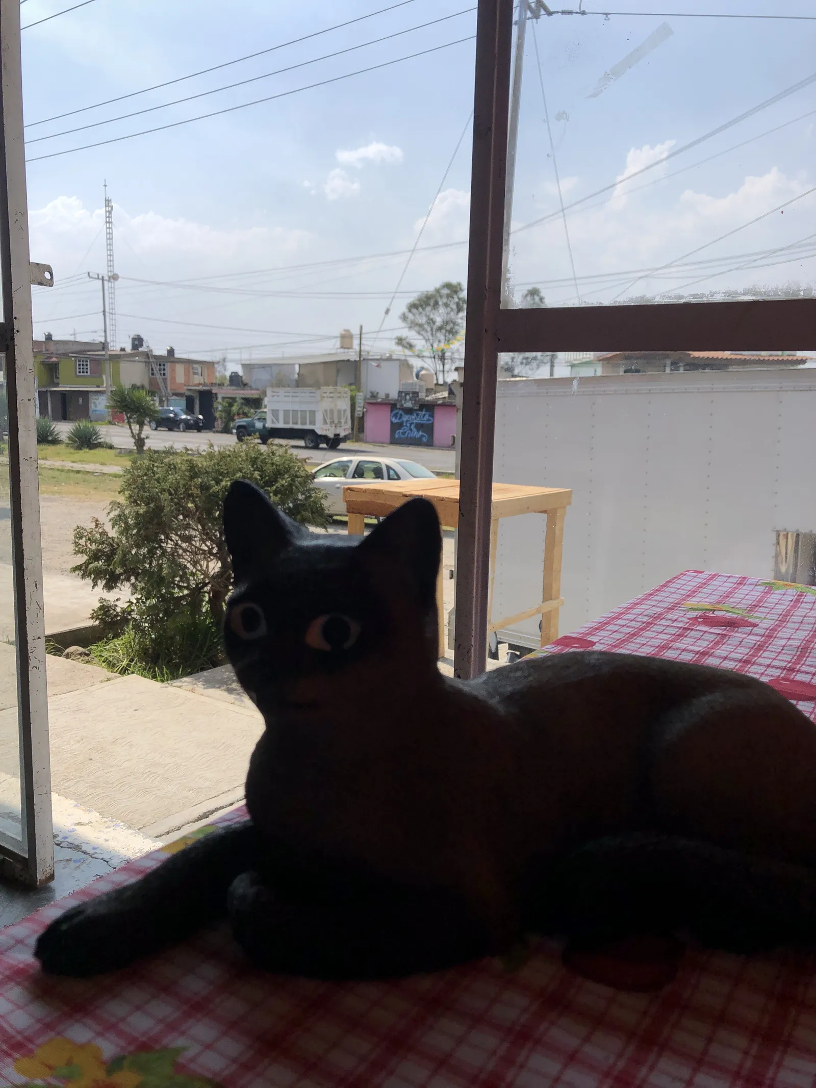 La cocina del Gato Prieto image 7