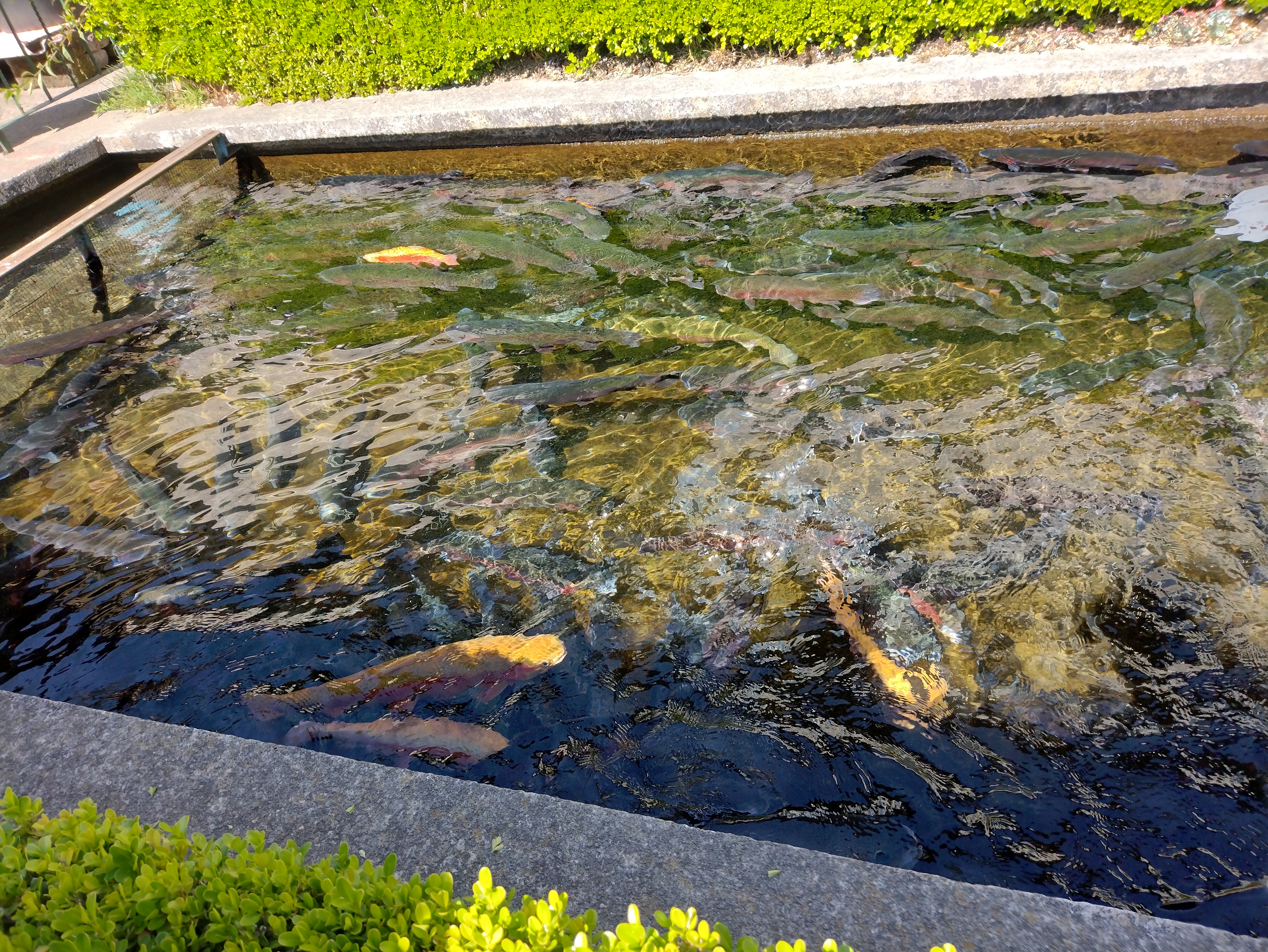 Cabaña Las Tinajas image 6