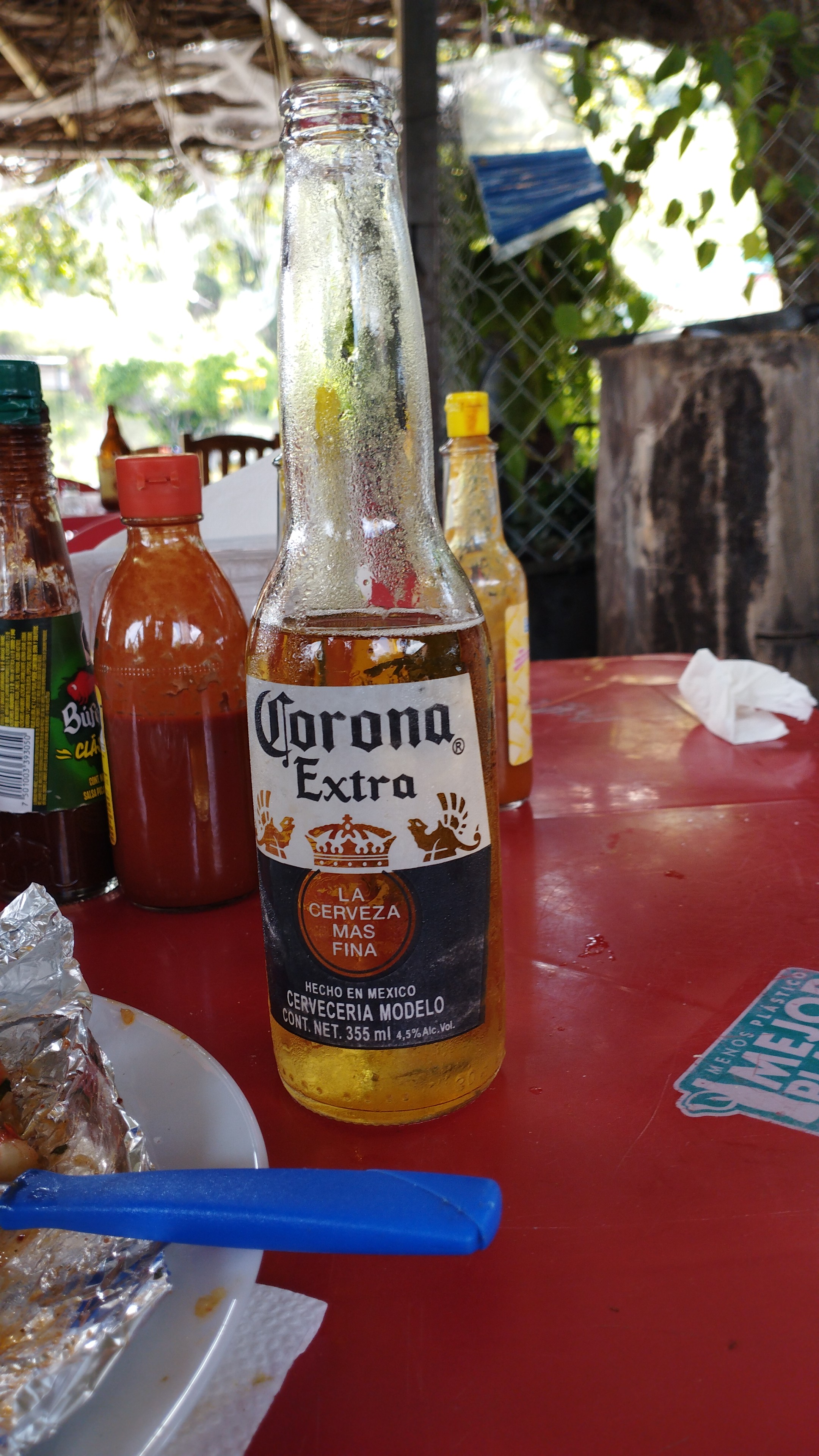 Restaurante "El Jardín" image 8