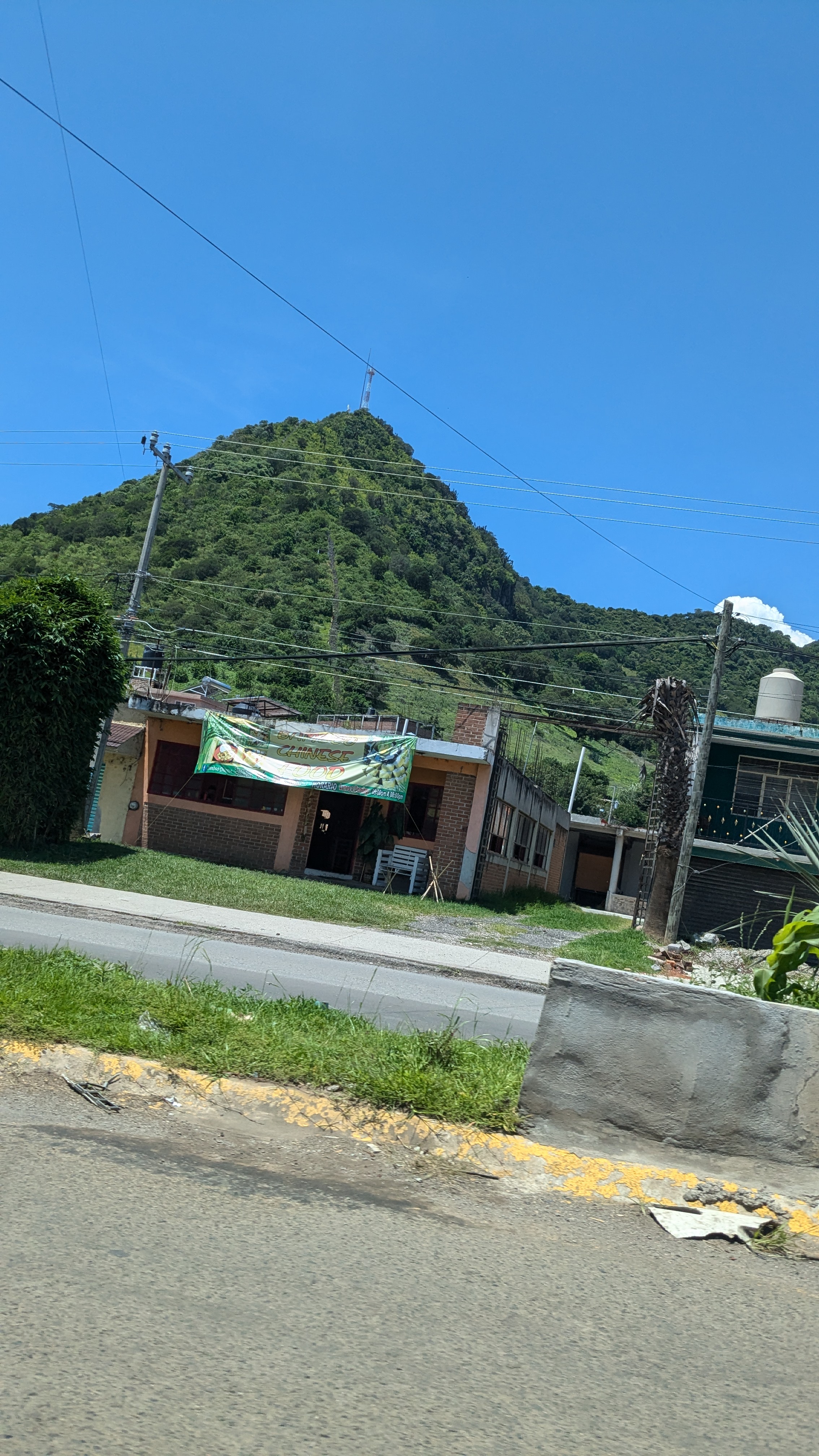 Chiness banboo image 2