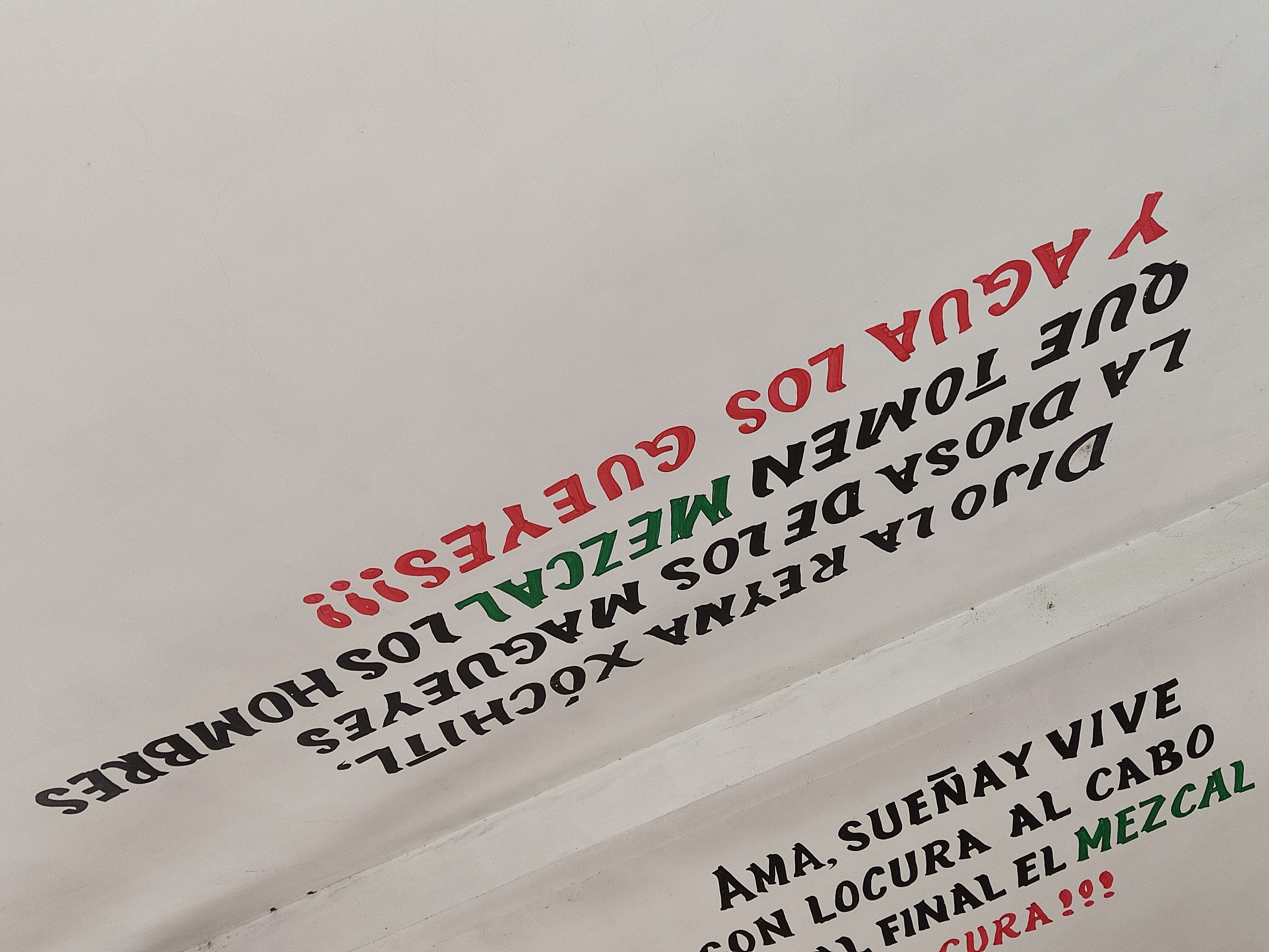 Taquería EL GALLO image 6