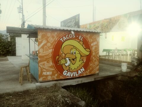 TAQUERÍA EL GAVILÁN image 1