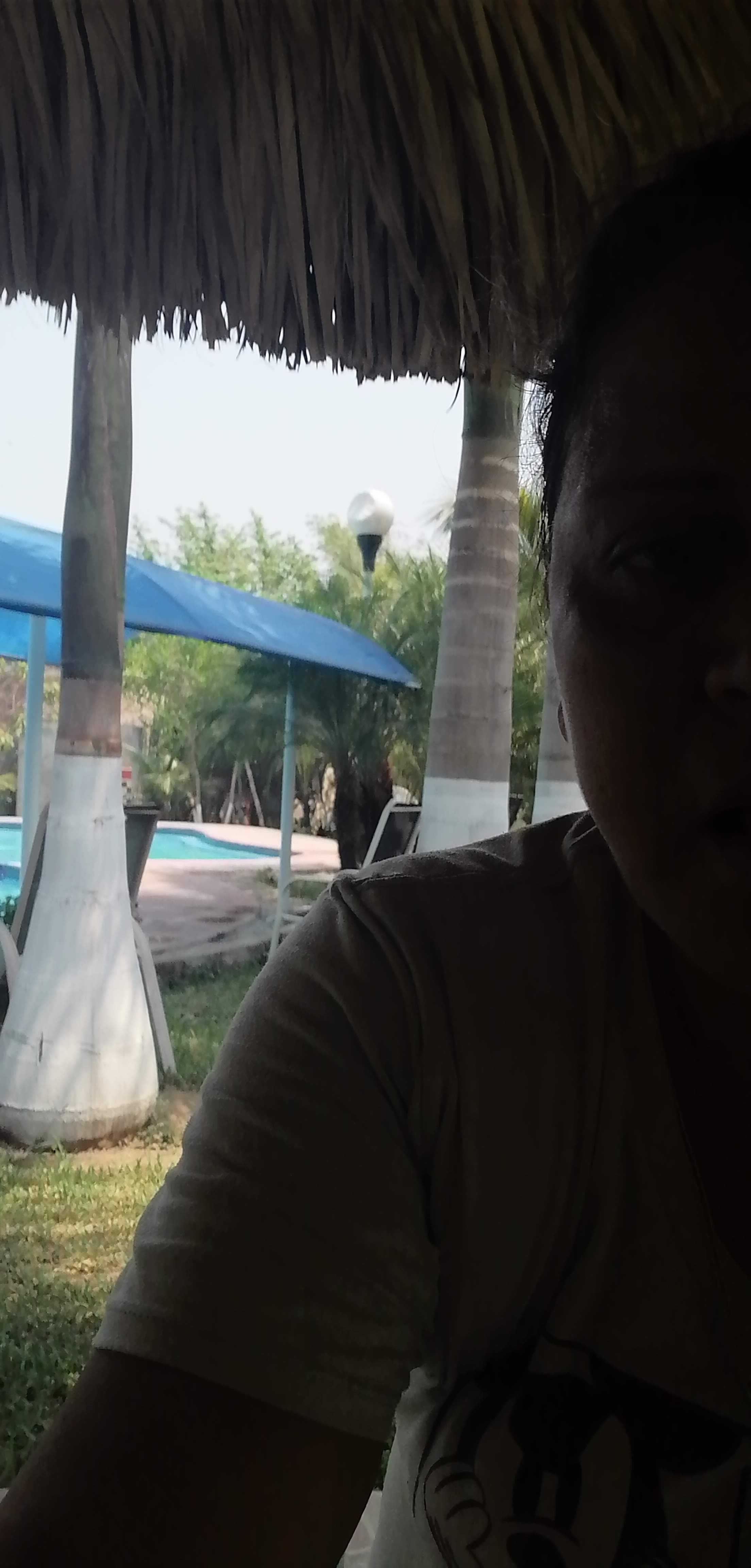 Finca Angel's image 4