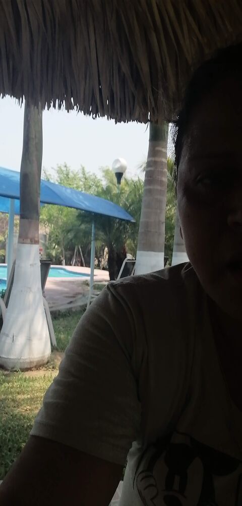 Finca Angel's image 4