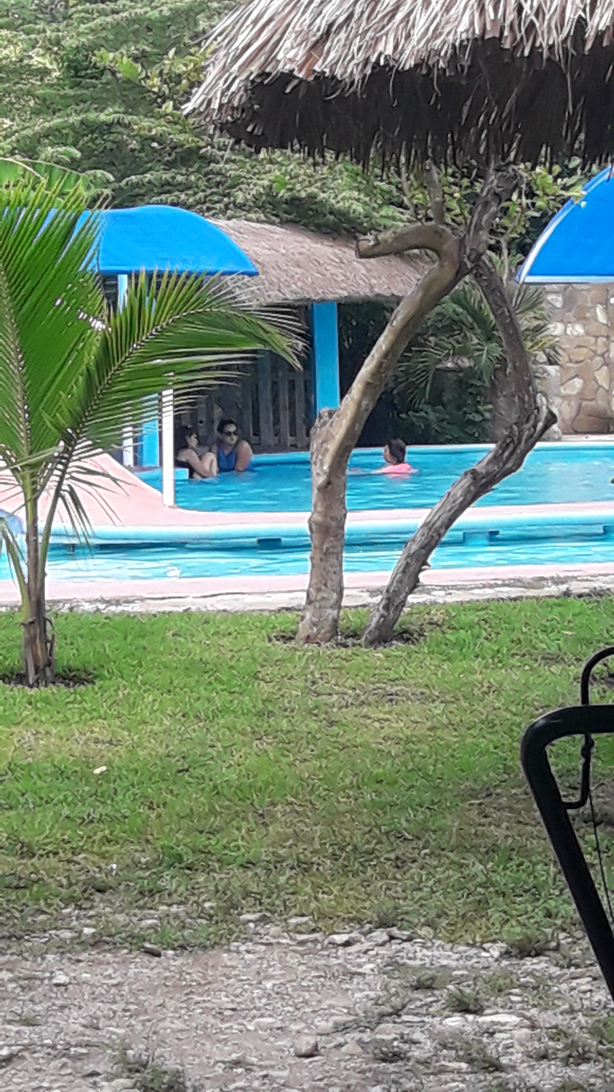 Finca Angel's image 5