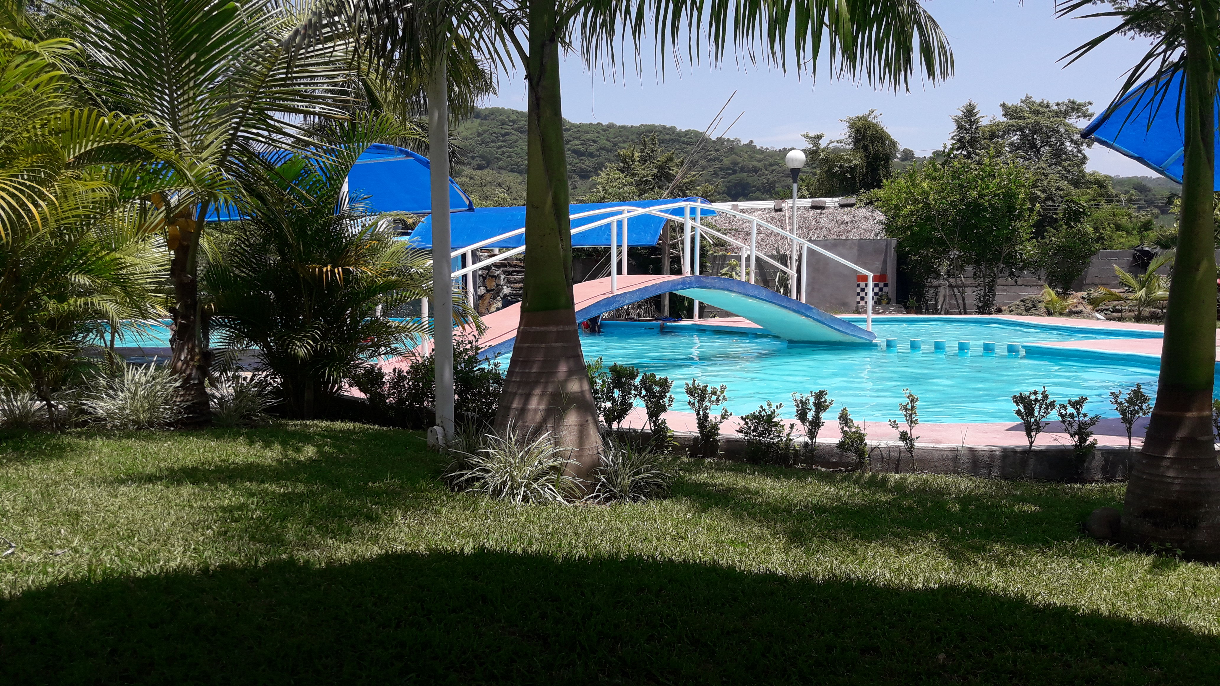 Finca Angel's image 6