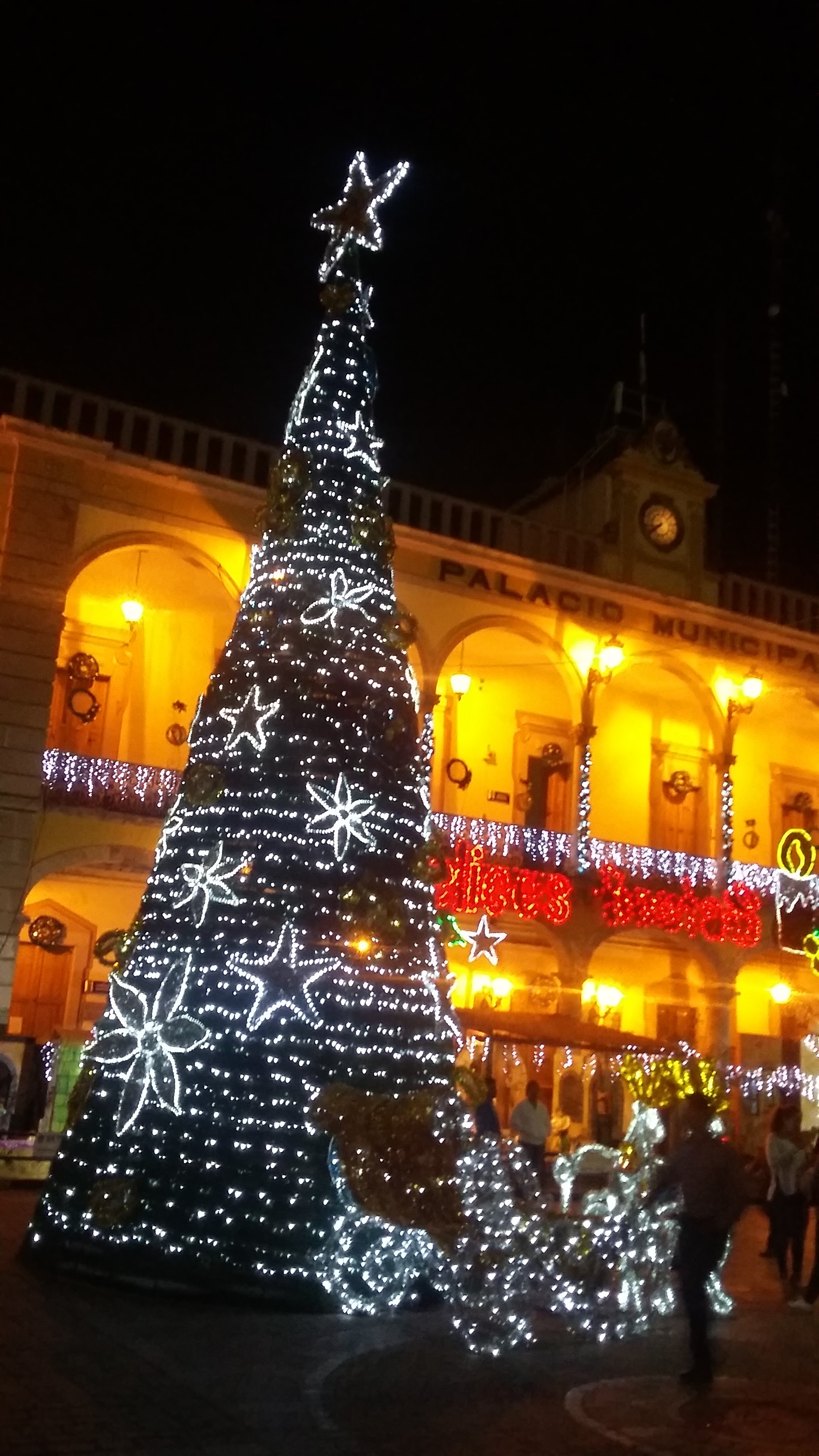 Aruba´s Jardin image 3