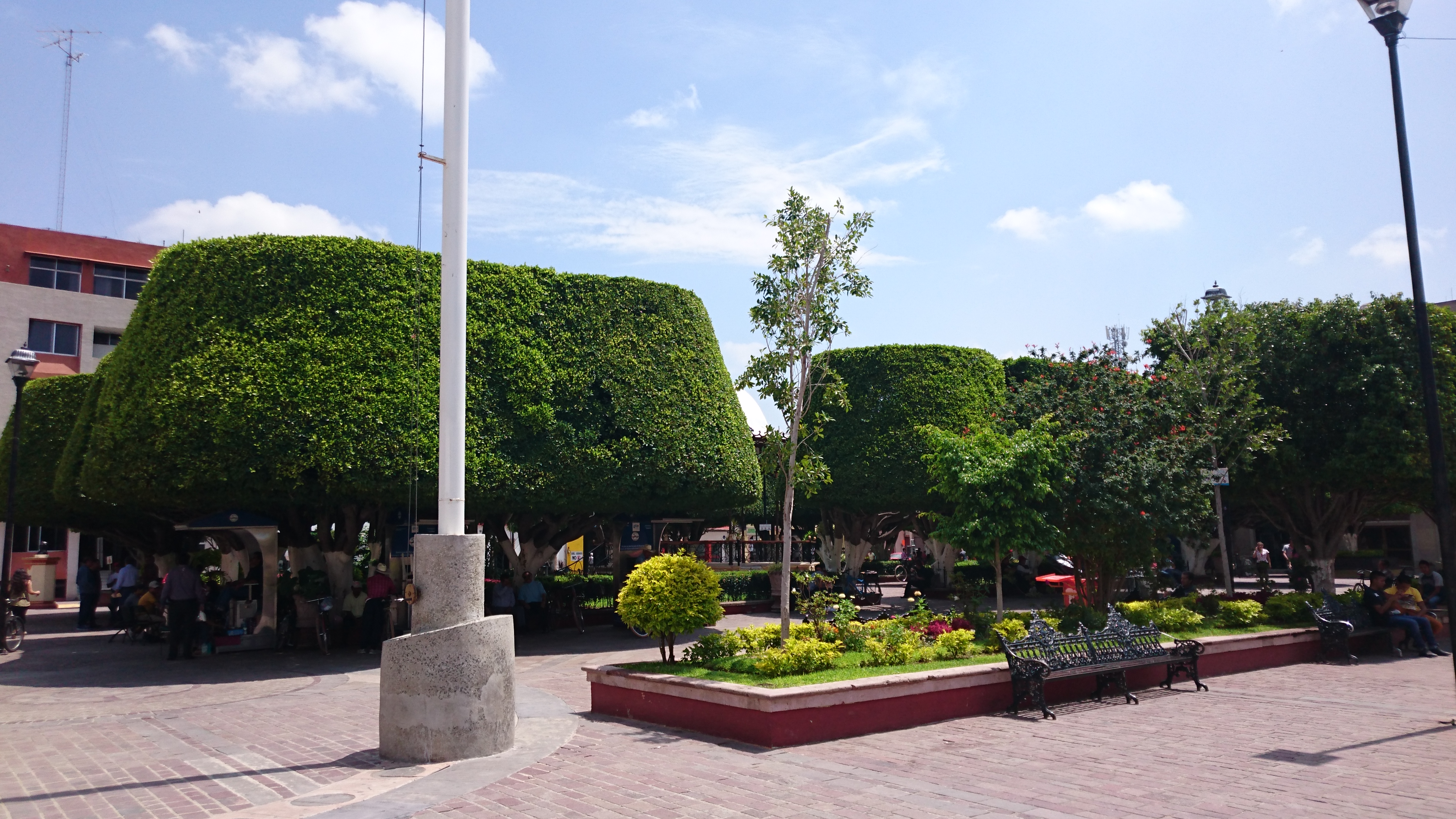 Aruba´s Jardin image 4