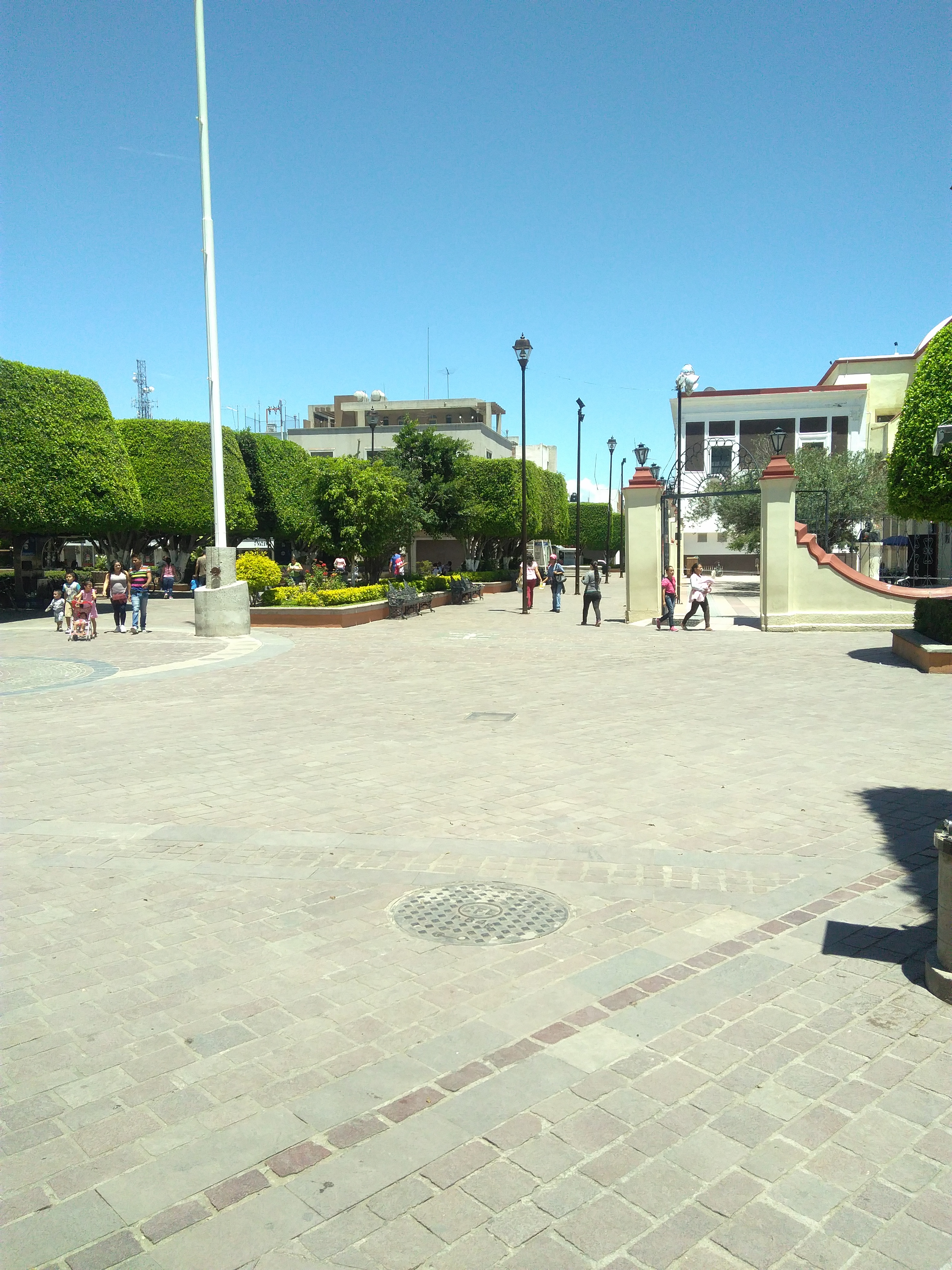 Aruba´s Jardin image 6