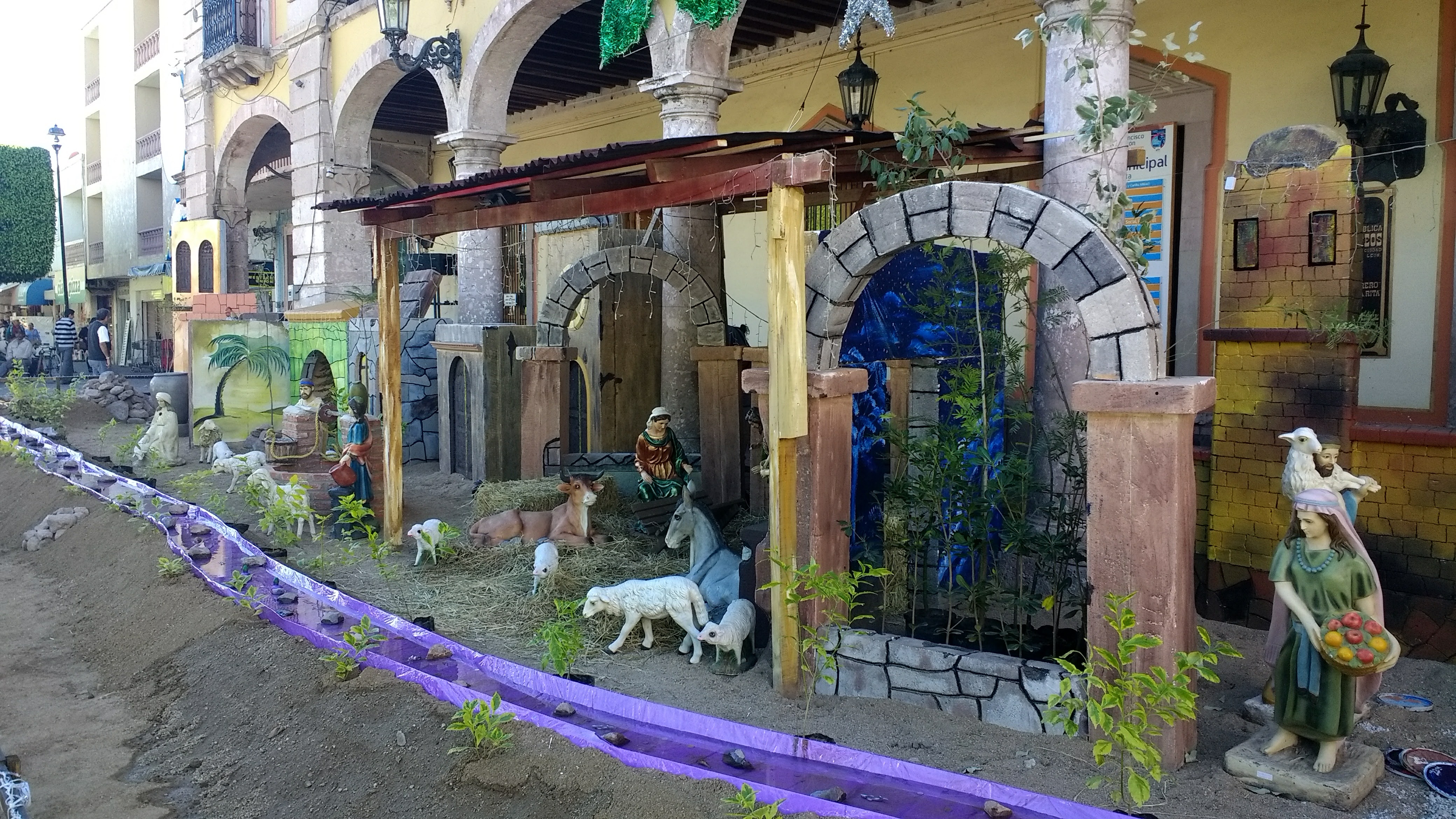 Aruba´s Jardin image 7