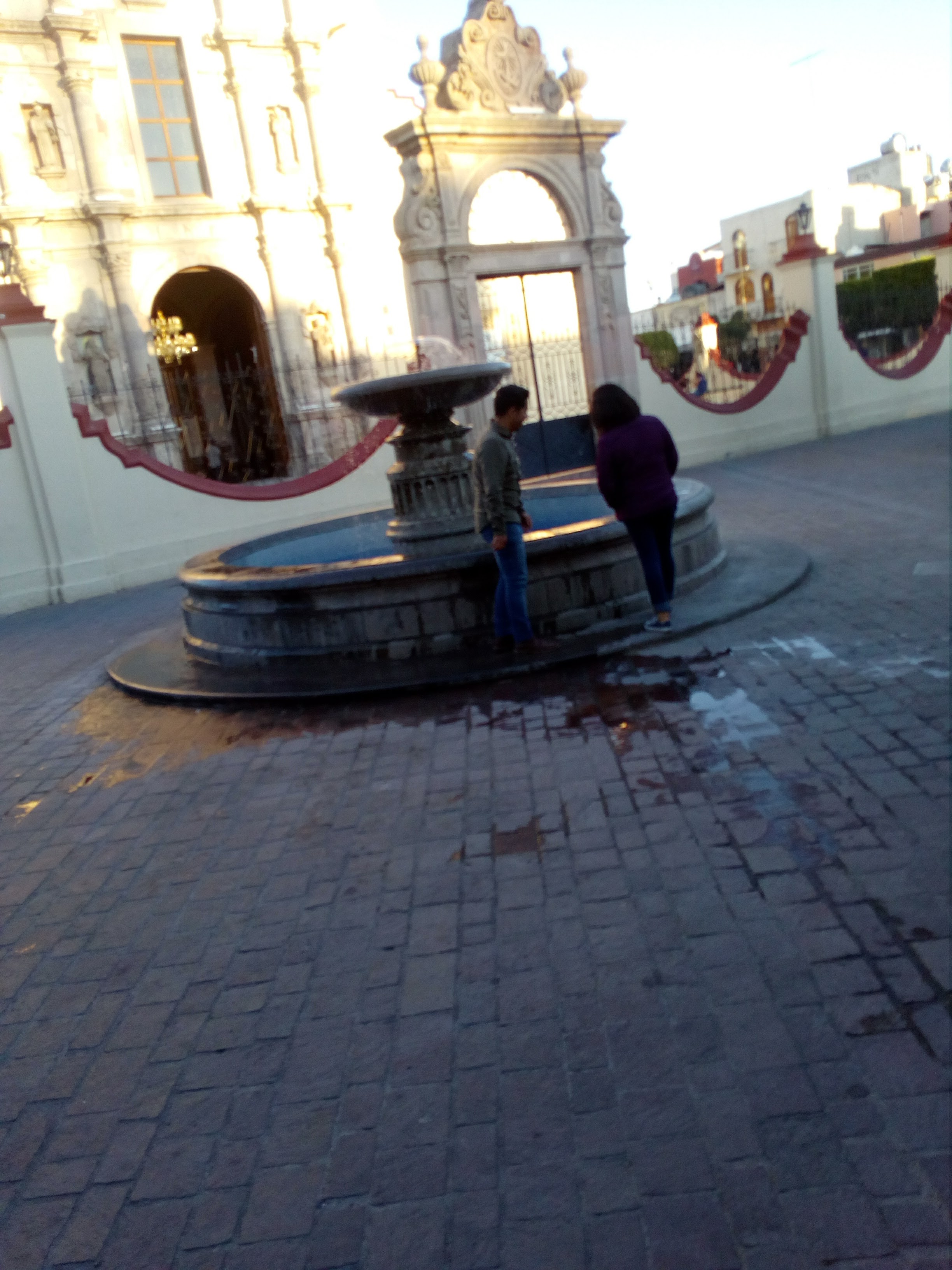 Aruba´s Jardin image 10