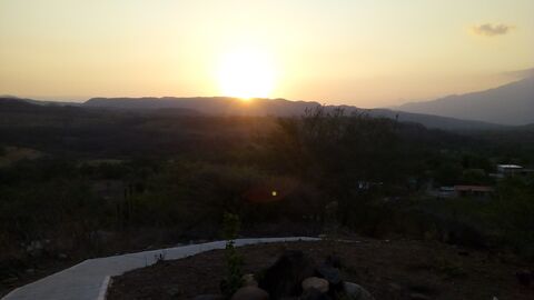 Loncheria "Tepuz" image 3