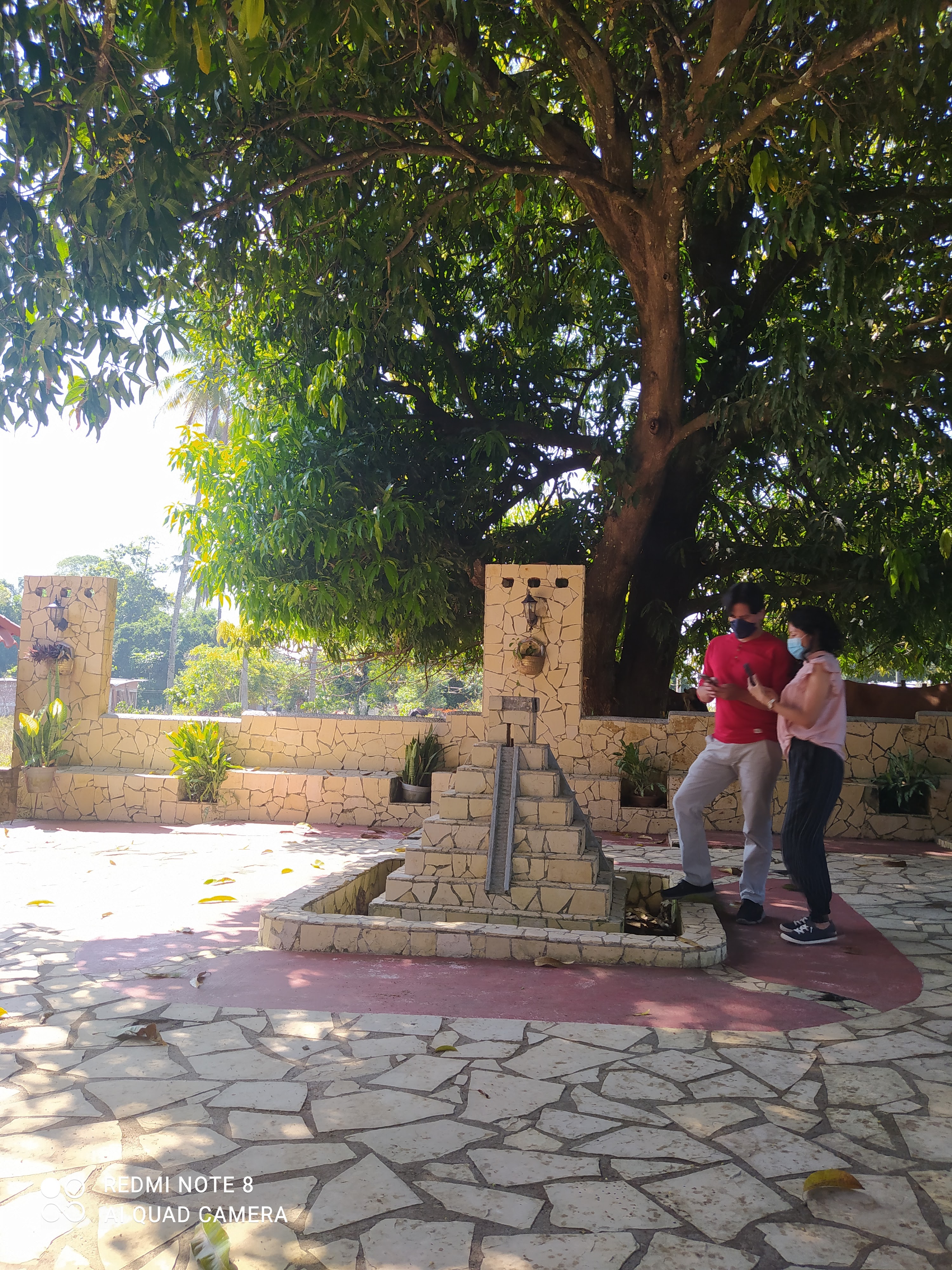 El Gallinero image 4