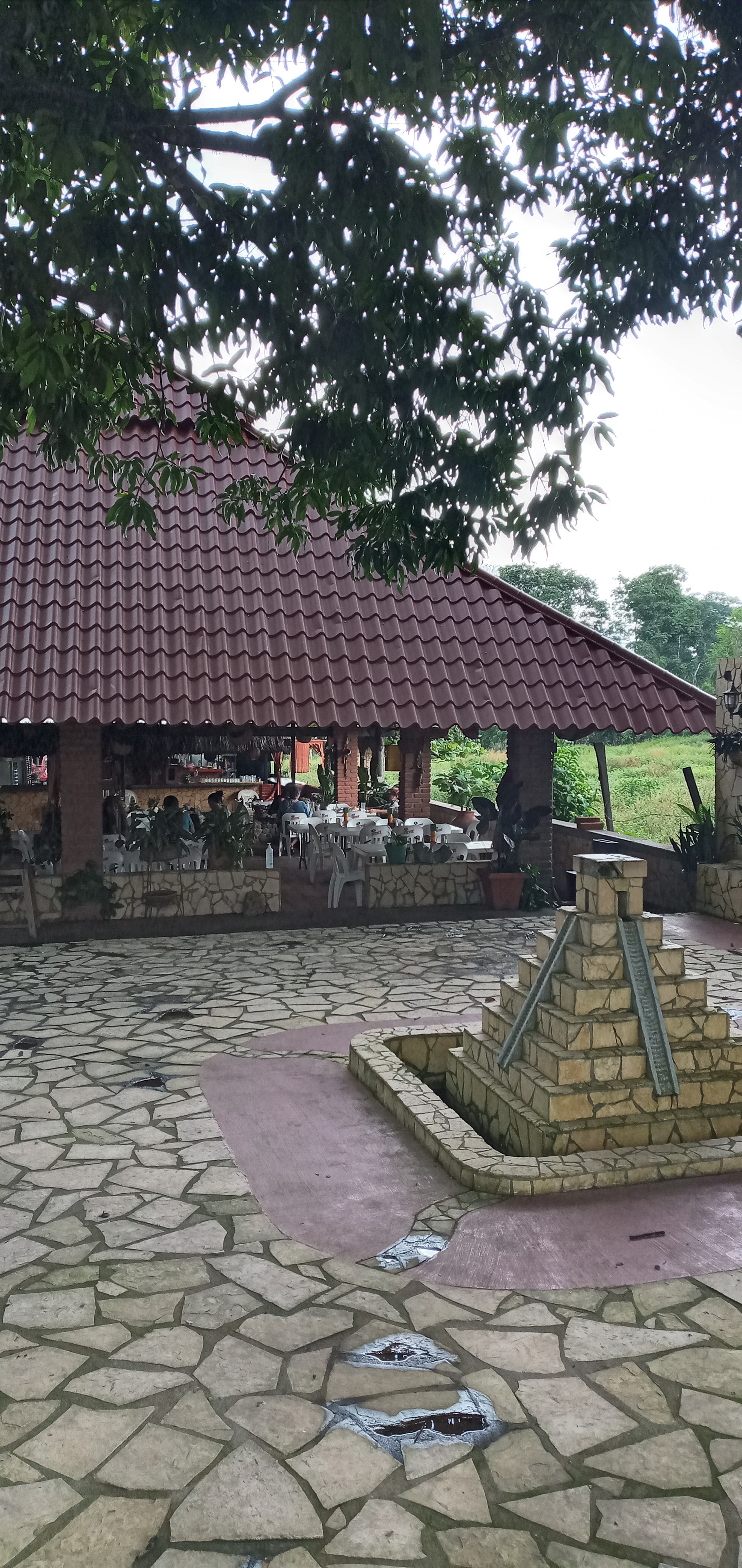 El Gallinero image 8