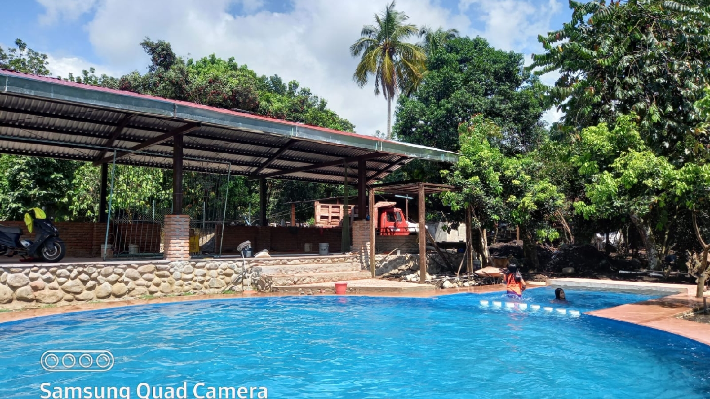 Mojarras la Tía Celia image 3