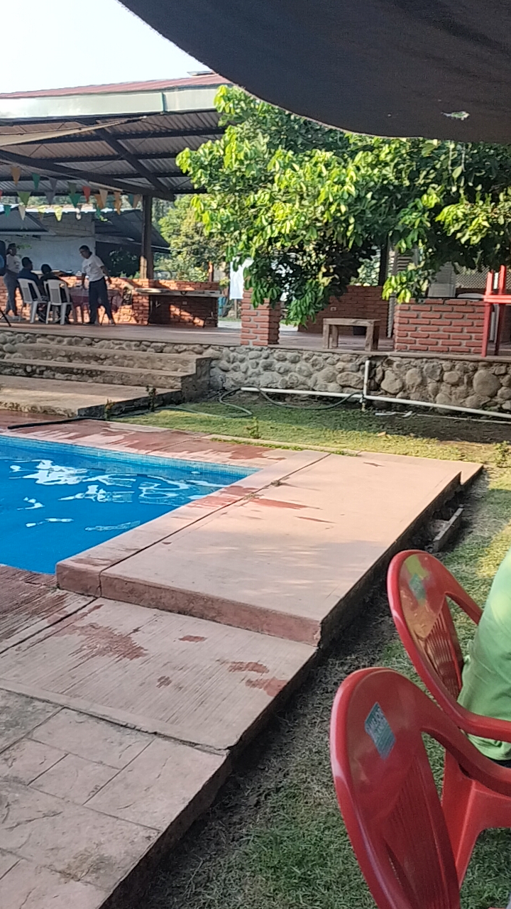 Mojarras la Tía Celia image 5