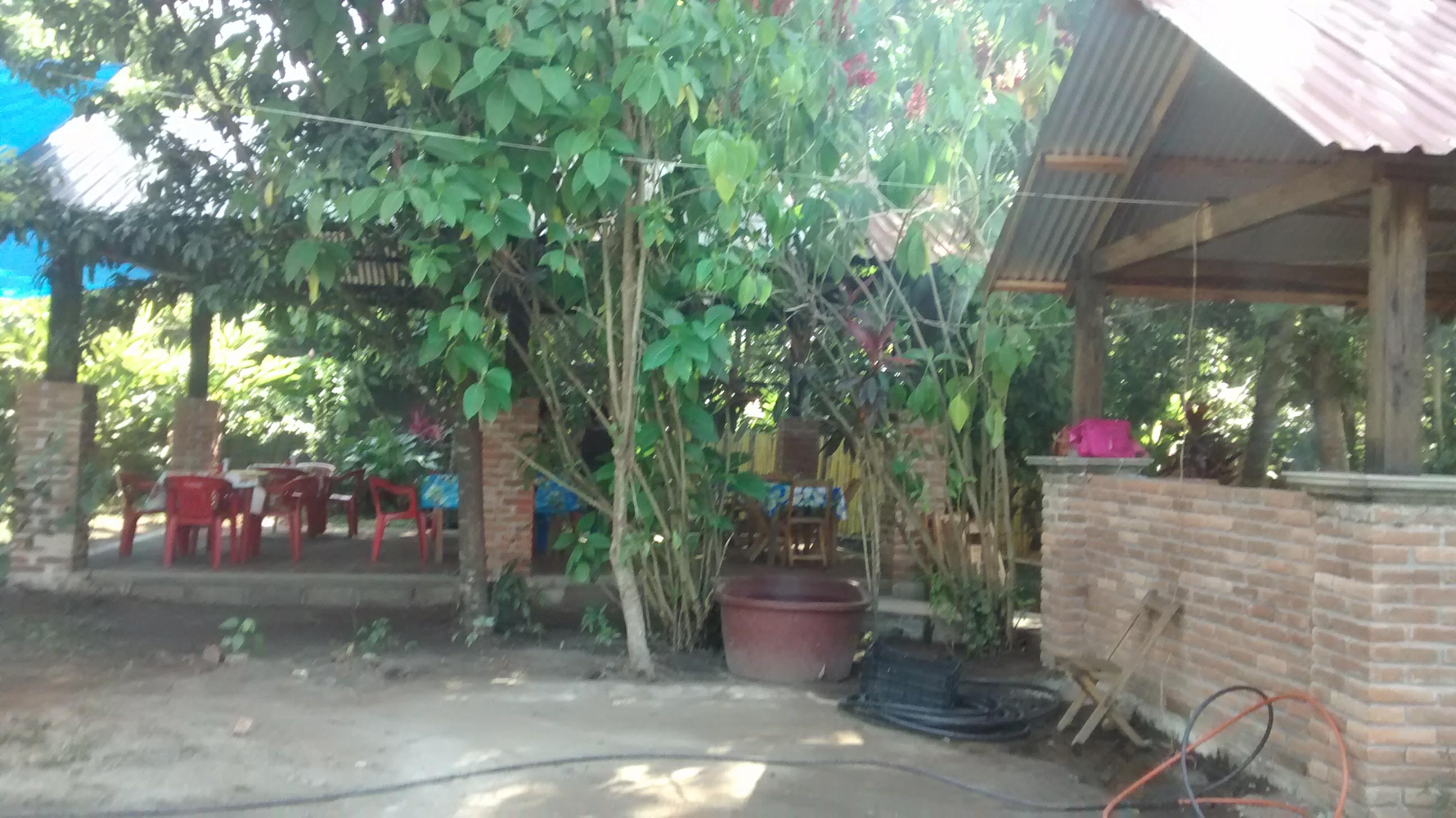 Mojarras la Tía Celia image 6