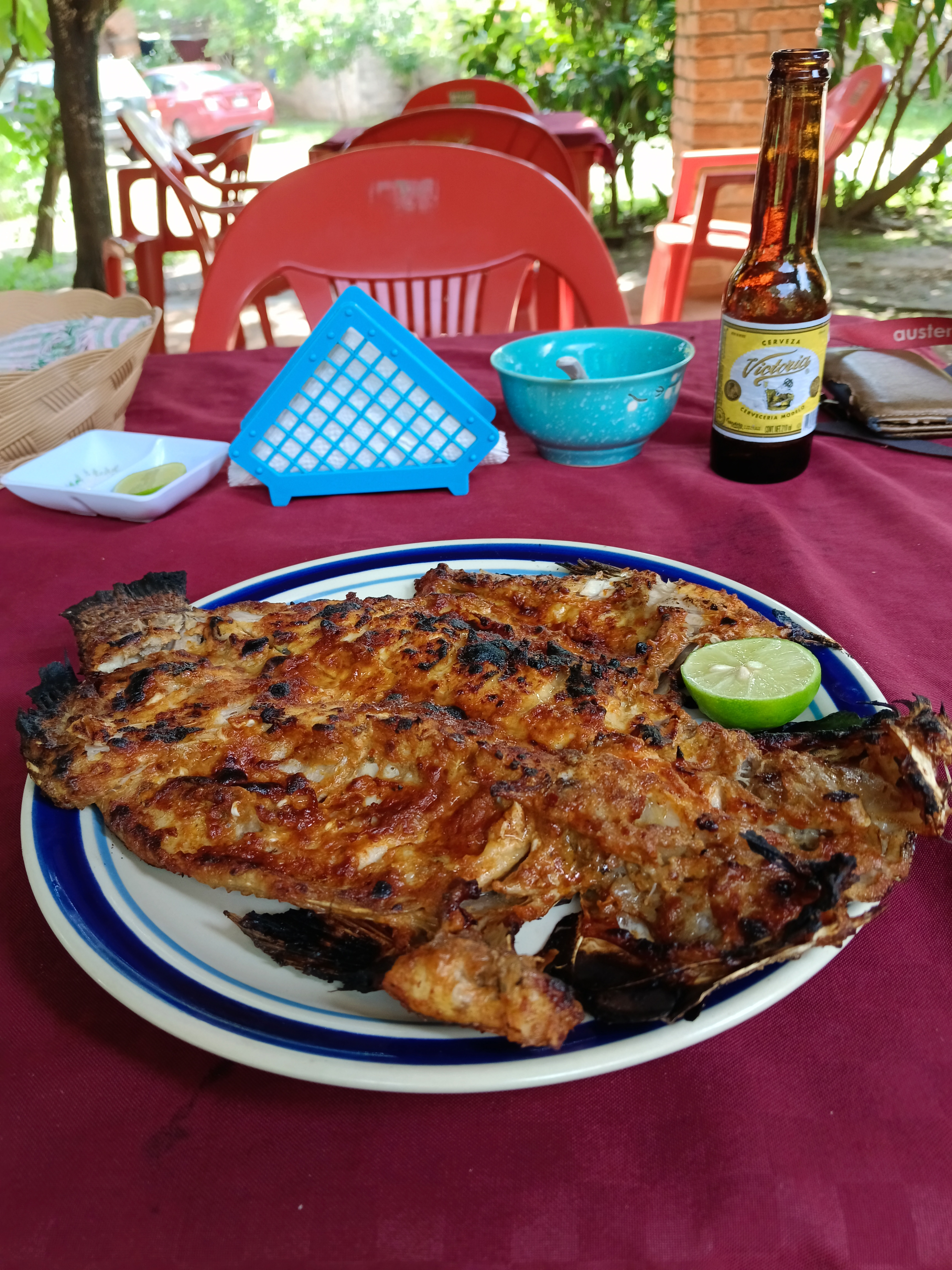 Mojarras la Tía Celia image 10