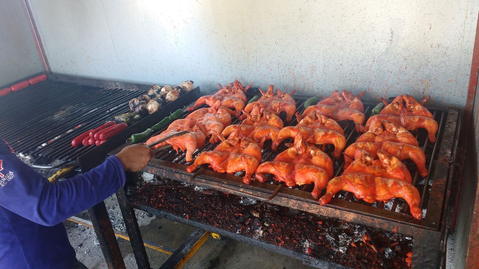 Pollos "Marlene" image 1