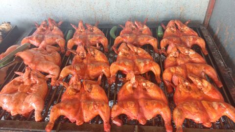 Pollos "Marlene" image 2