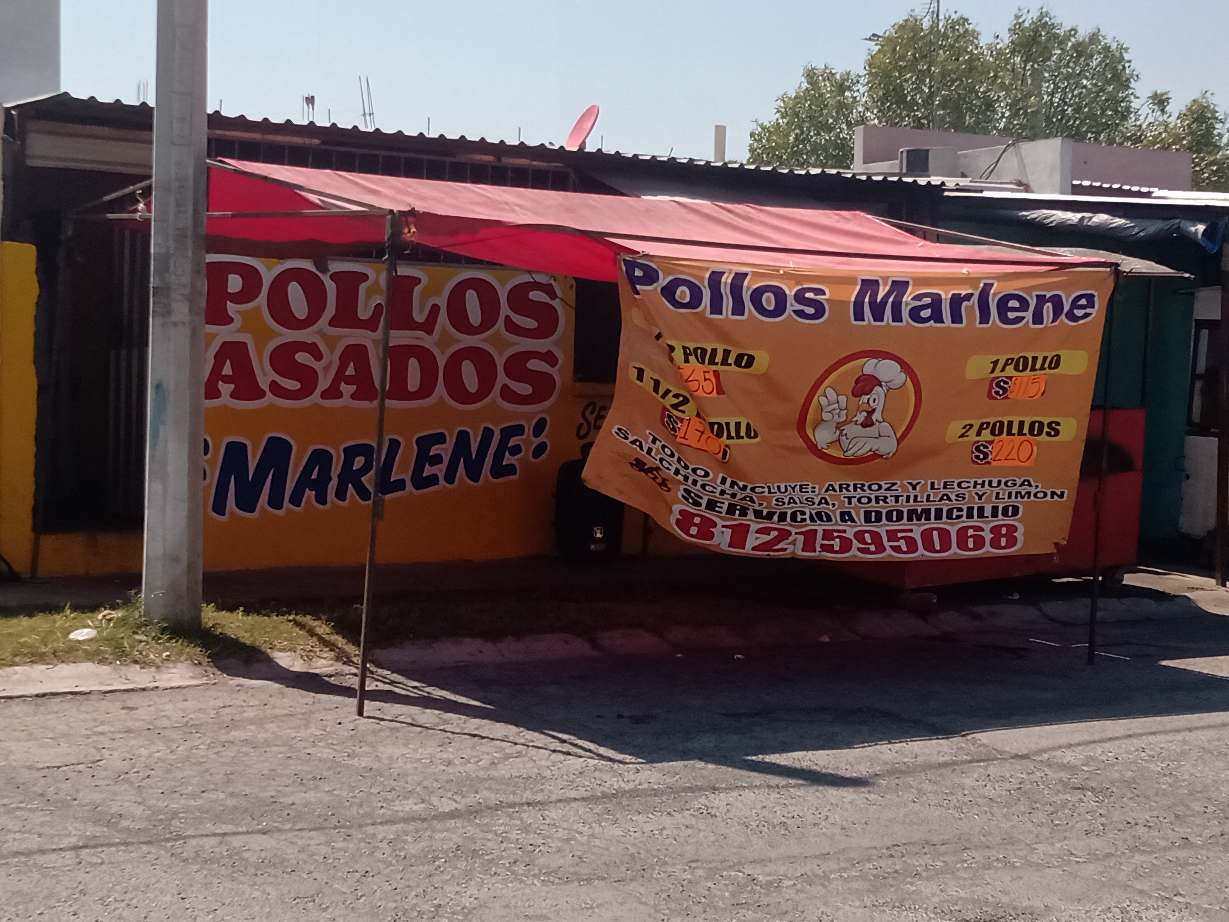 Pollos "Marlene" image 3